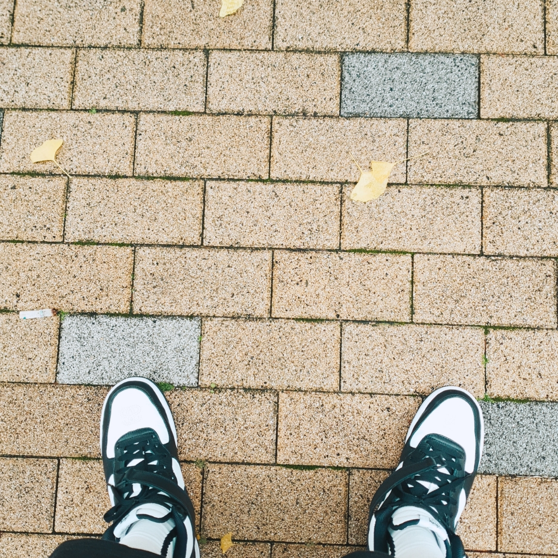 Nike x Stussy Air Force 1 '07 Mid SP Black and Light Bone 착용 스타일