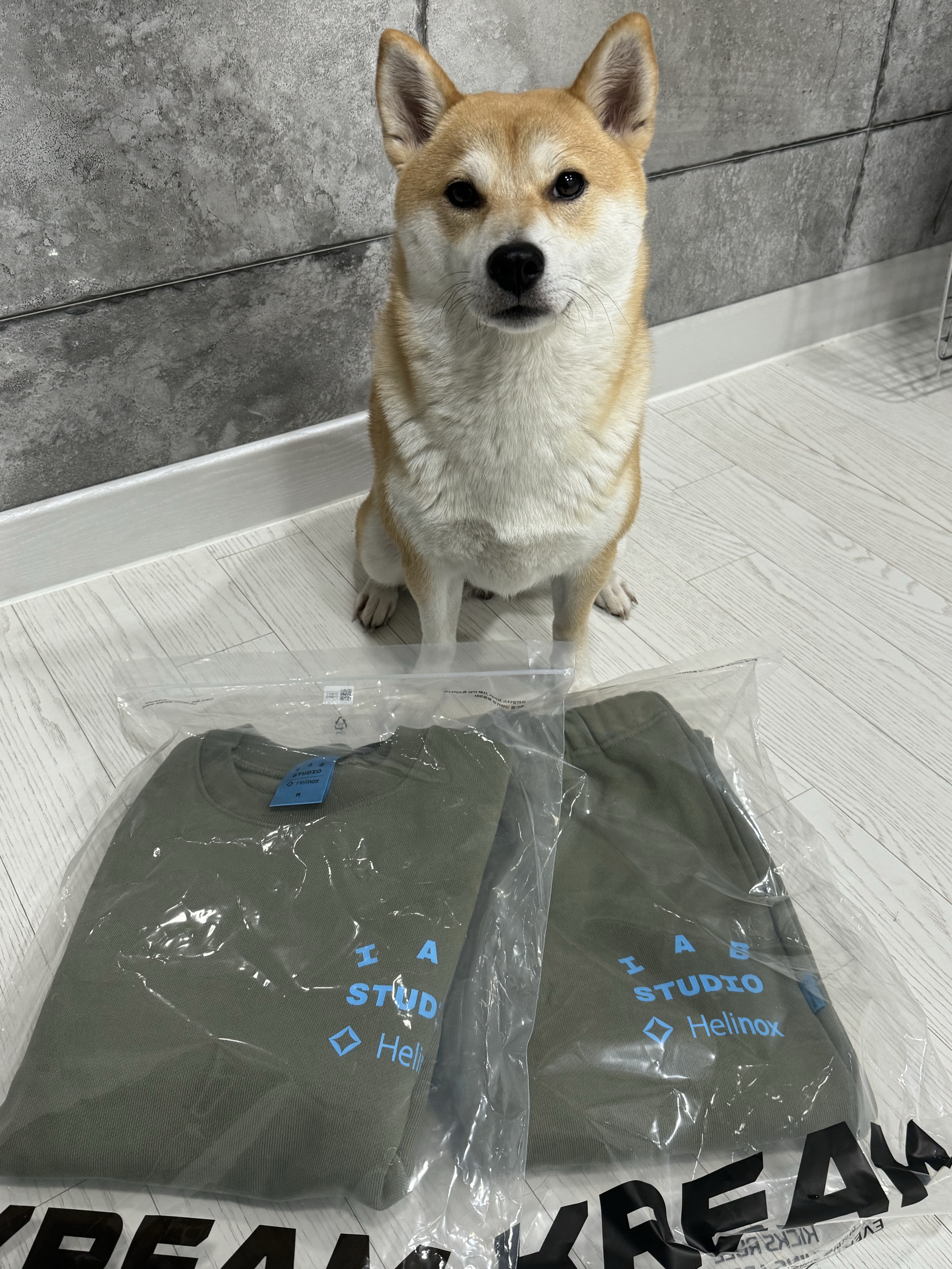 IAB Studio x Helinox Sweatpants Leaf Green, IAB Studio x Helinox Sweatshirt Leaf Green 착용 스타일