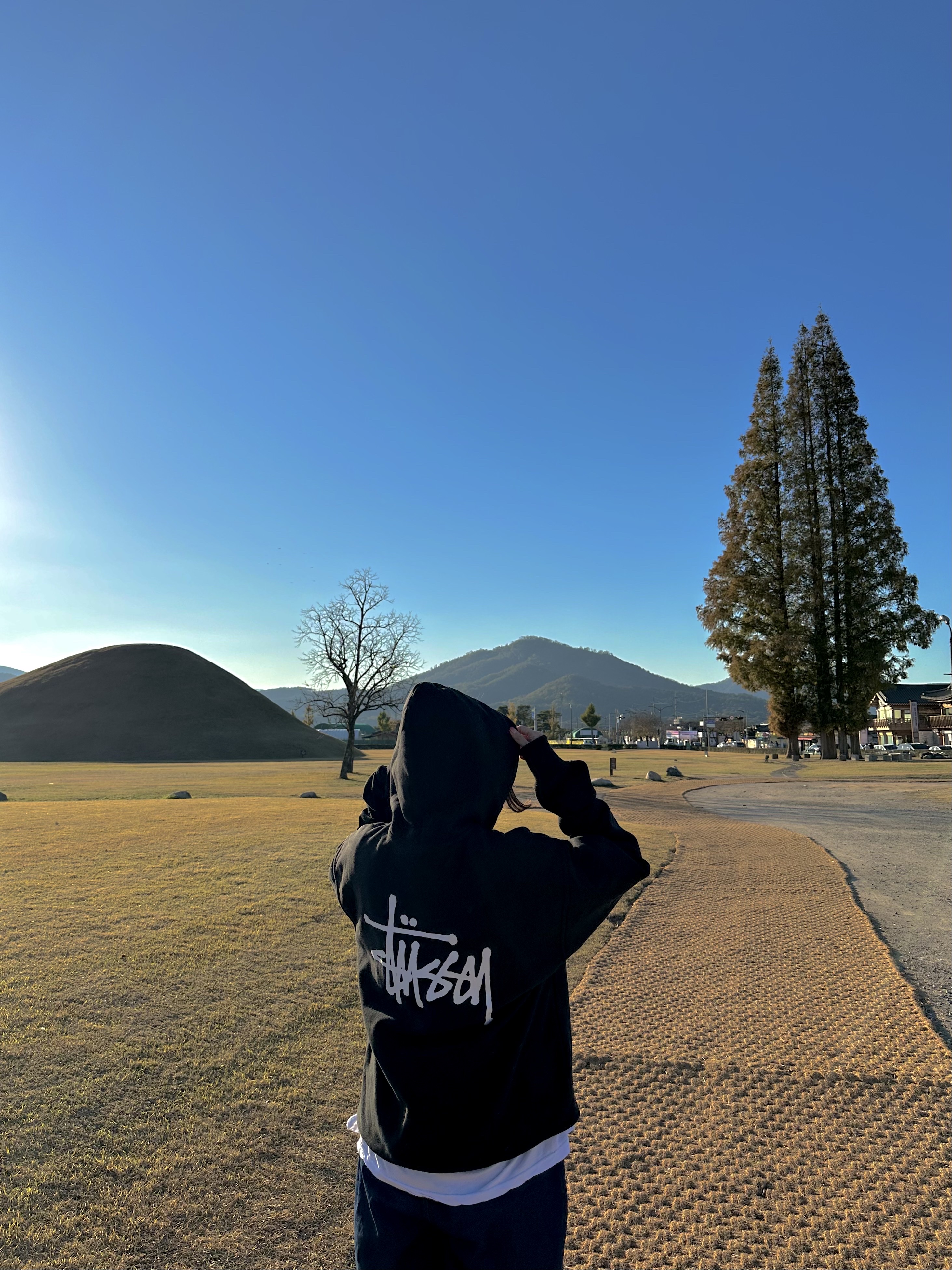Stussy Basic Stussy Hoodie Black 2023 착용 스타일 - 2