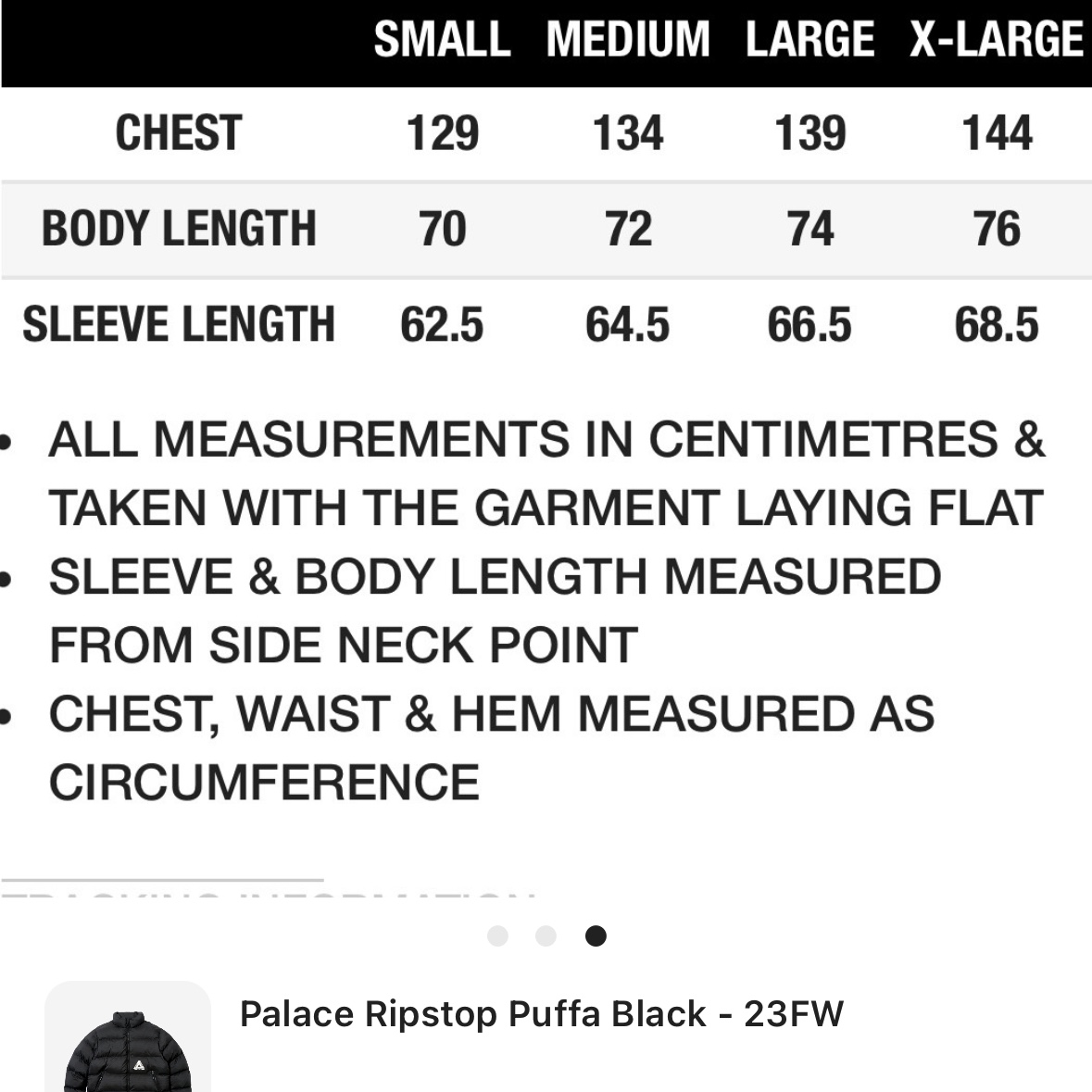 Palace Ripstop Puffa Olive - 23FW 착용 스타일 - 5