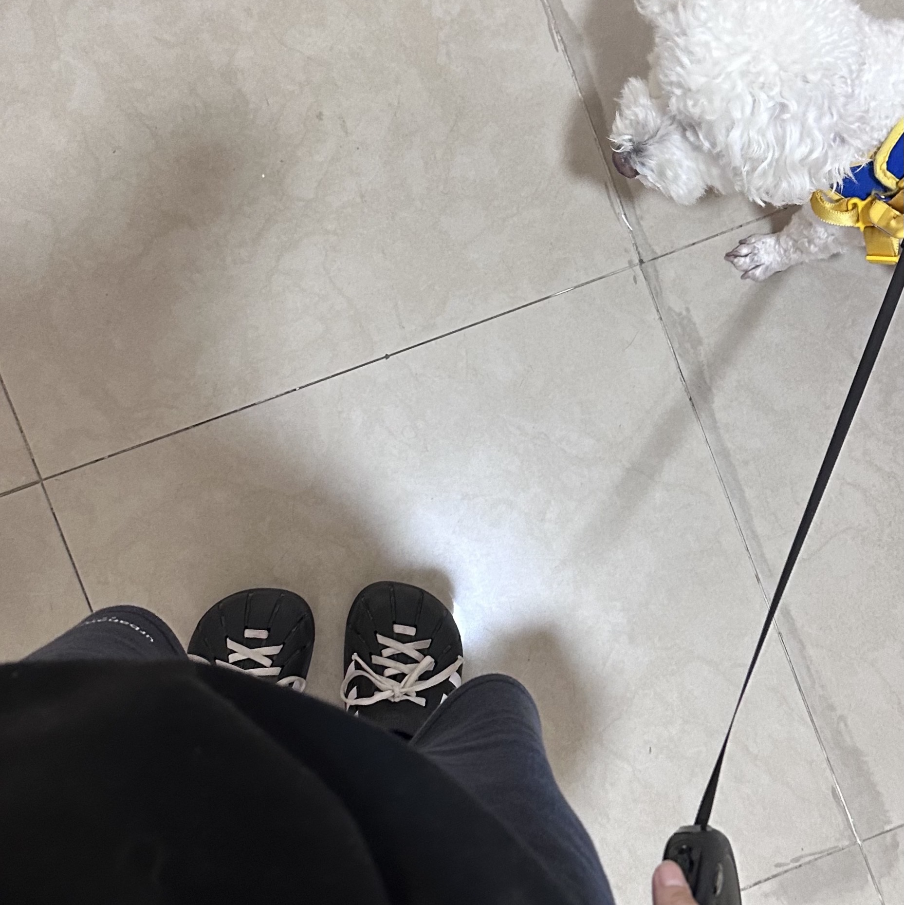 Adidas Adilette Clog Black White ์ฐฉ์ฉ ์คํ์ผ - 4