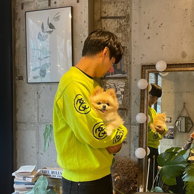 Stussy SS Link Sweater Lime 착용 스타일