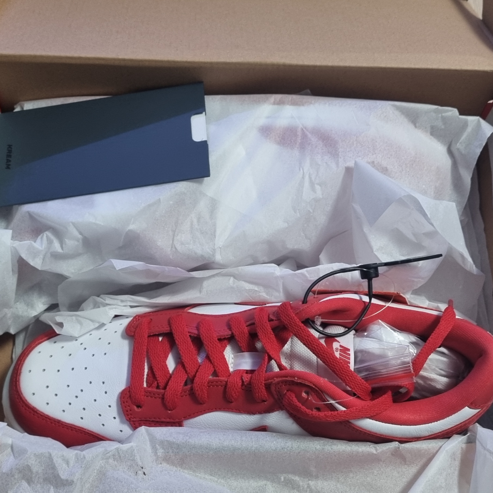 Nike Dunk Low SP White and University Red 2023 착용 스타일 - 3