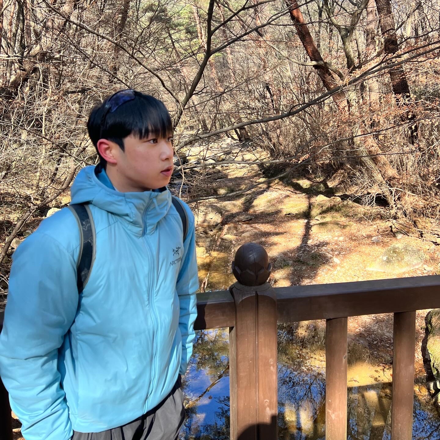 Arc'teryx Atom LT Hoody Solace, Arc'teryx Heliad 15 Backpack Forage 착용 스타일 - 2