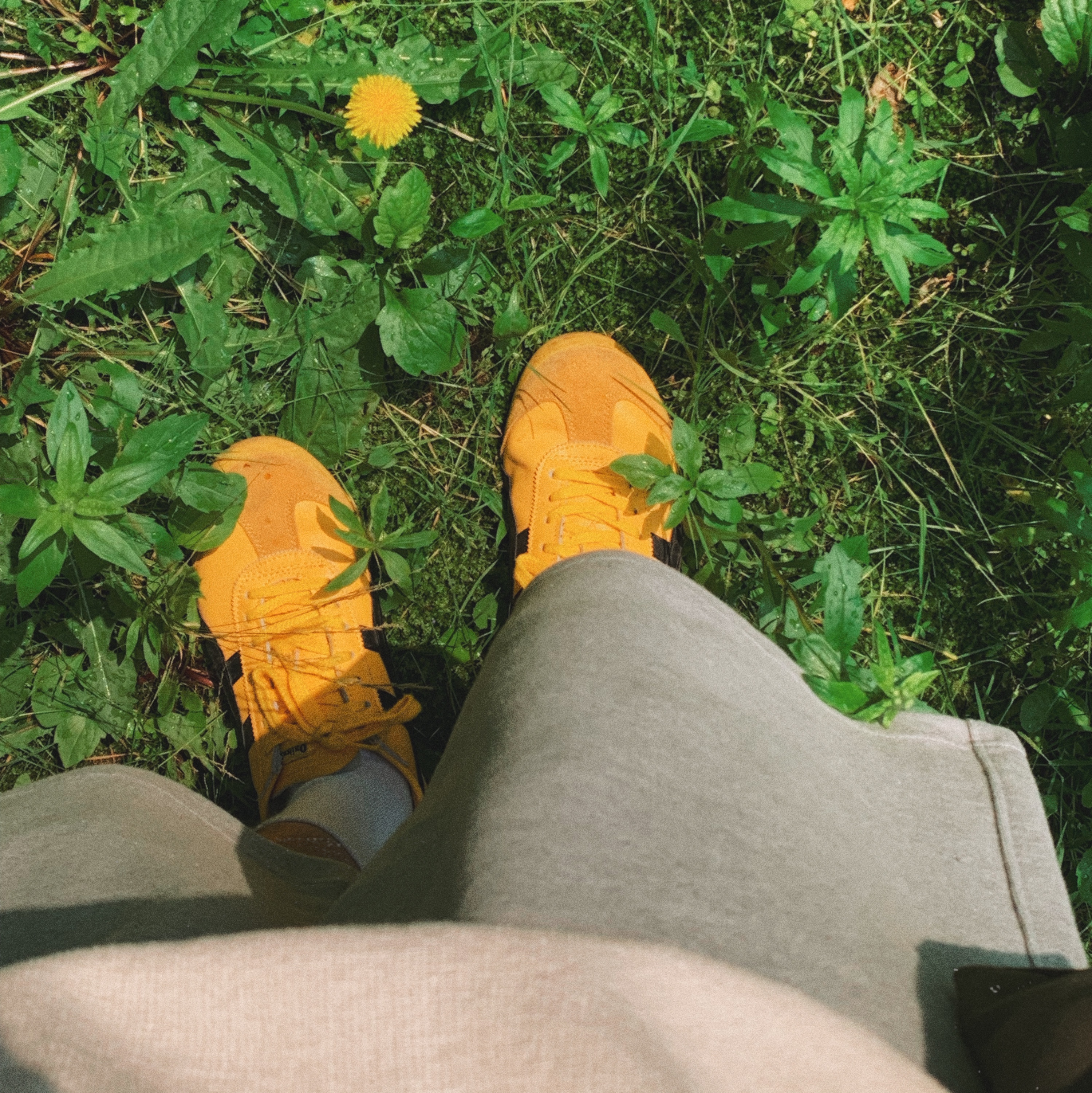 Onitsuka Tiger Mexico 66 Yellow Black 착용 스타일
