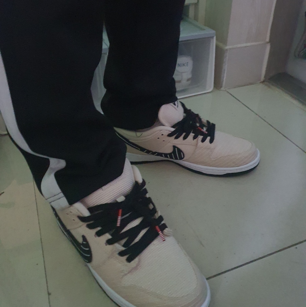 Nike x Albino & Preto SB Dunk Low Fossil Black 착용 스타일