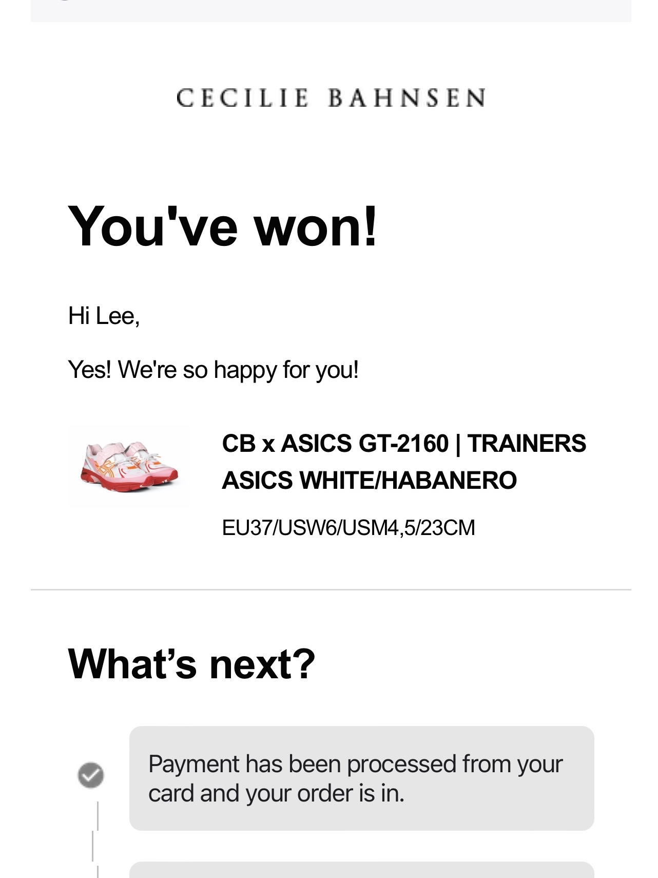 Asics x Cecilie Bahnsen GT-2160 White Habanero, Asics x Cecilie Bahnsen GT-2160 Pure Silver Midnight 착용 스타일 - 1