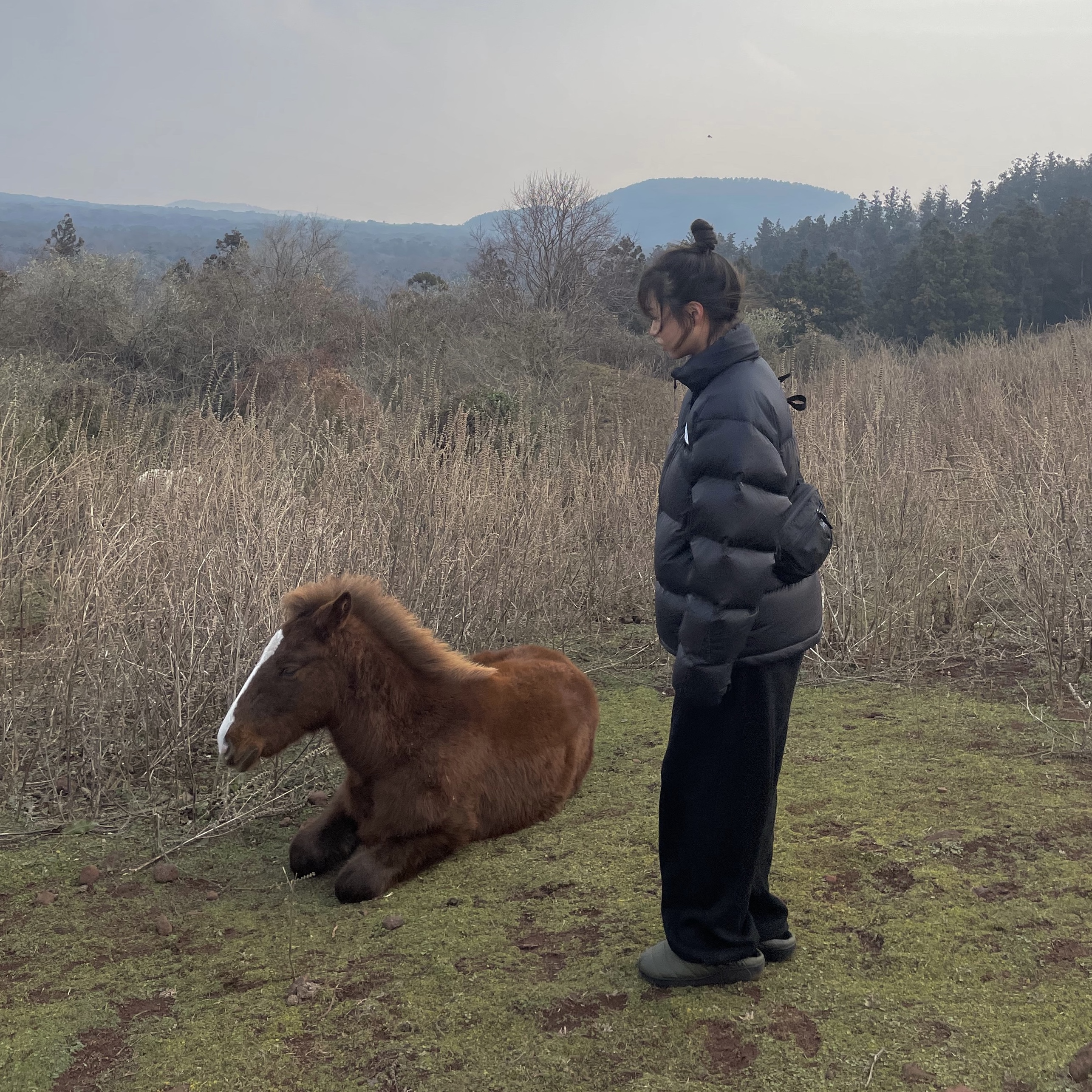 The North Face 1996 Eco Nuptse Jacket Black, Subu Permanent F-Line Moutain Khaki 착용 스타일 - 3