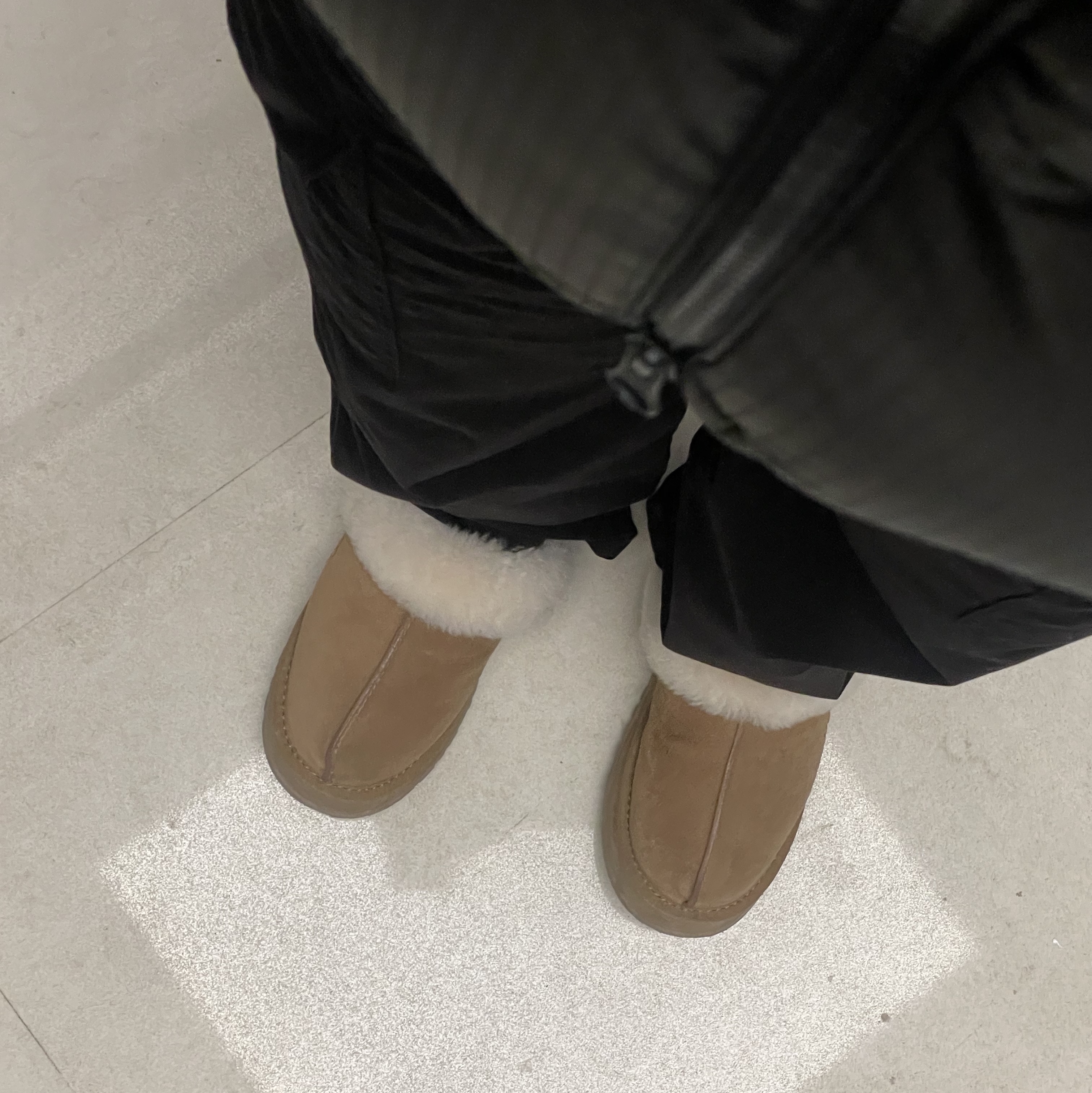 (W) UGG Disquette Slipper Chestnut 착용 스타일