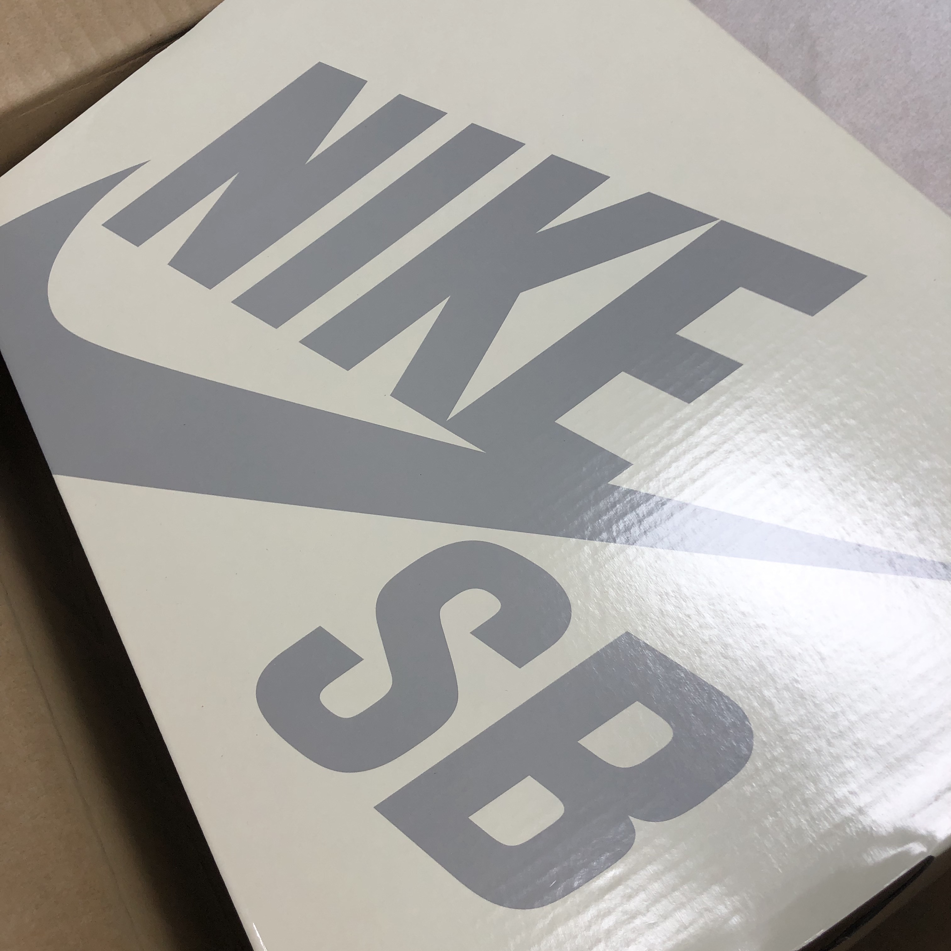 Nike x Albino & Preto SB Dunk Low Fossil Black 착용 스타일 - 1