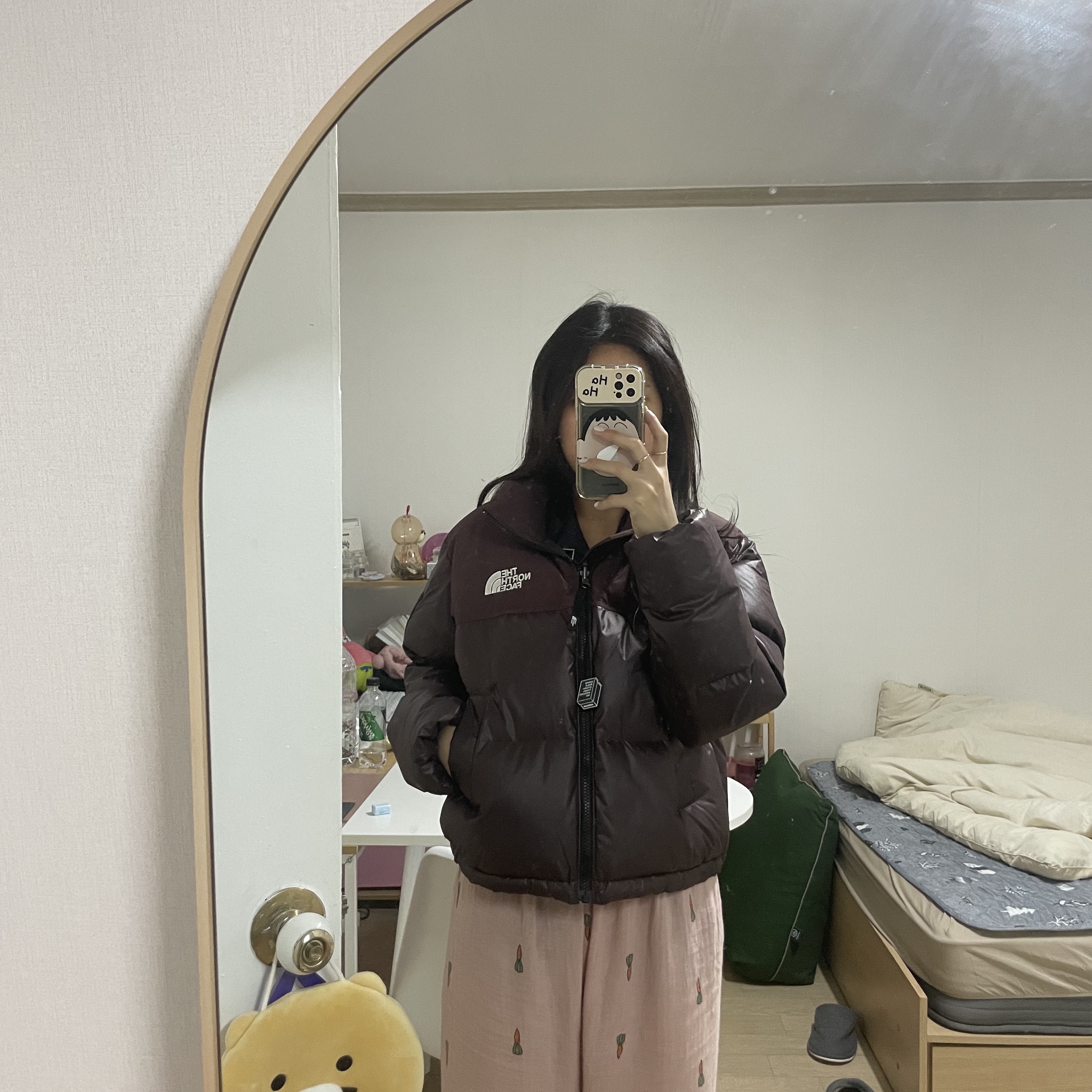 (W) The North Face White Label Novelty Nuptse Down Jacket Cocoa Brown 착용 스타일 - 2