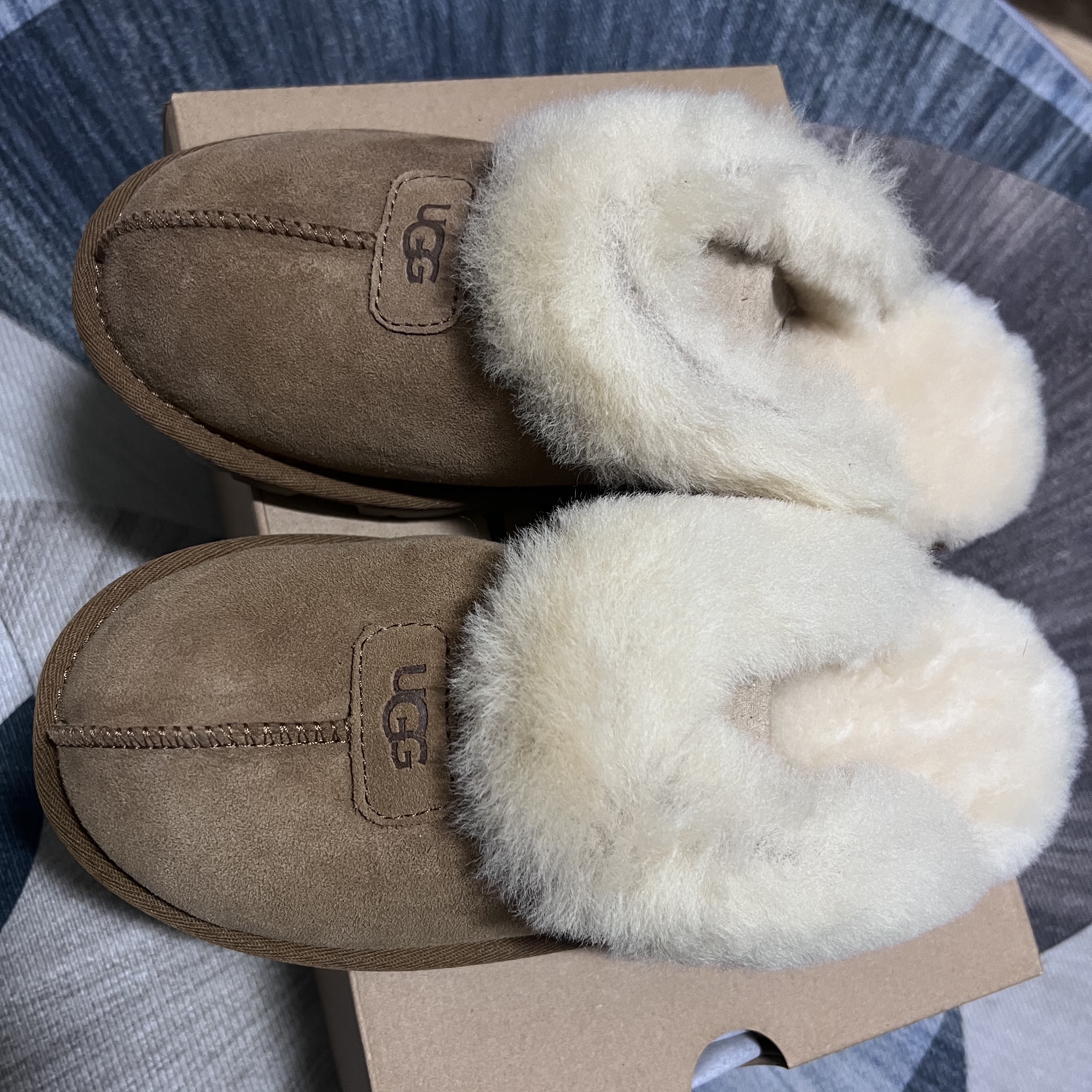 (W) UGG Coquette Slipper Chestnut 착용 스타일