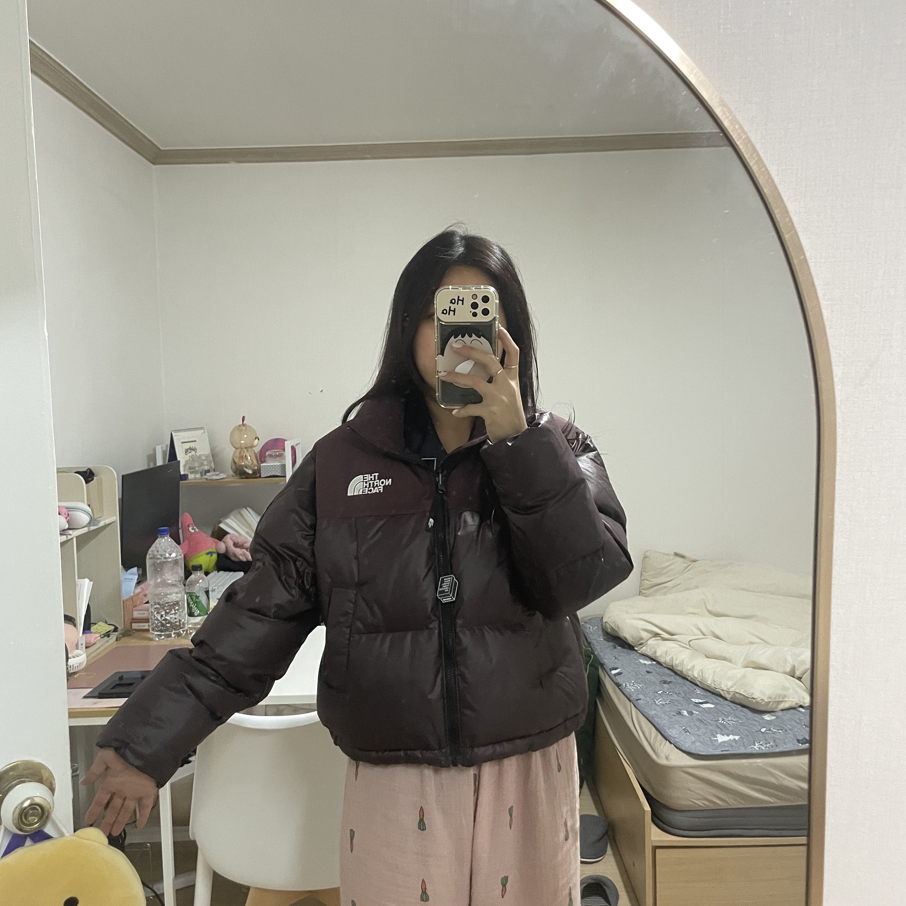 (W) The North Face White Label Novelty Nuptse Down Jacket Cocoa Brown 착용 스타일 - 1