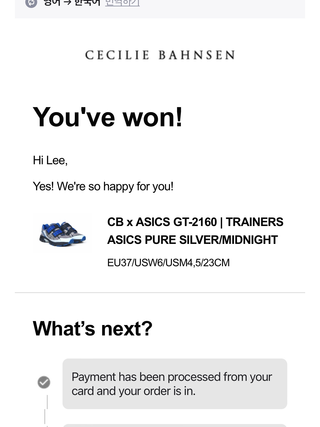 Asics x Cecilie Bahnsen GT-2160 White Habanero, Asics x Cecilie Bahnsen GT-2160 Pure Silver Midnight 착용 스타일 - 2