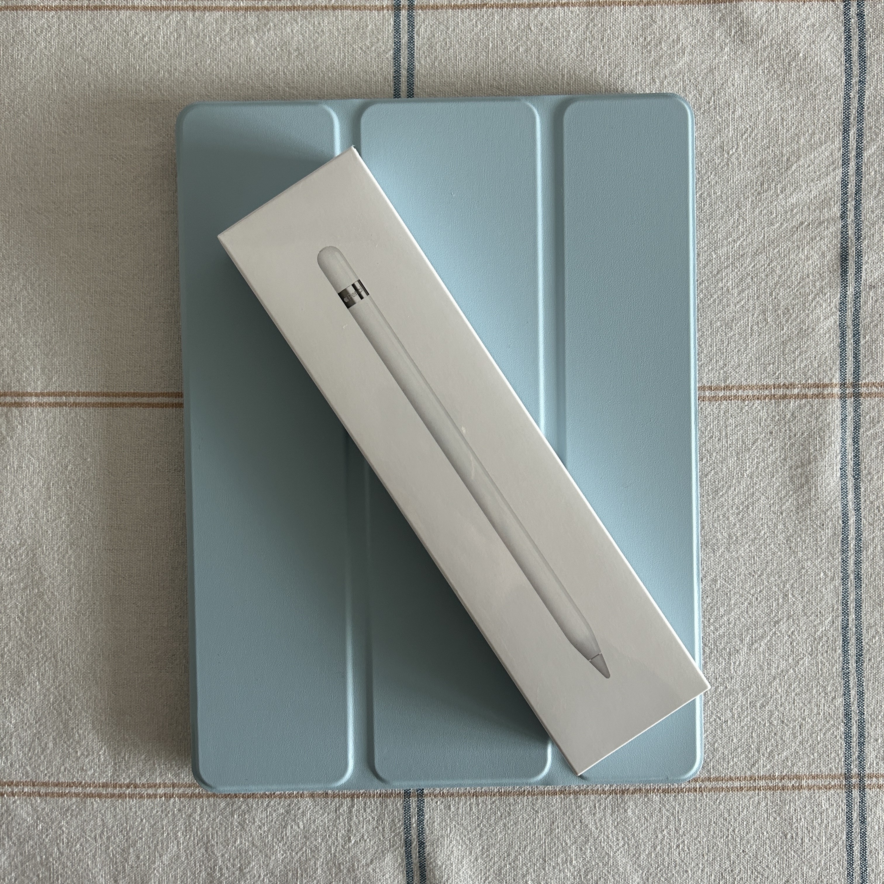 Apple Apple Pencil 1st Gen (Korean Ver.) 착용 스타일
