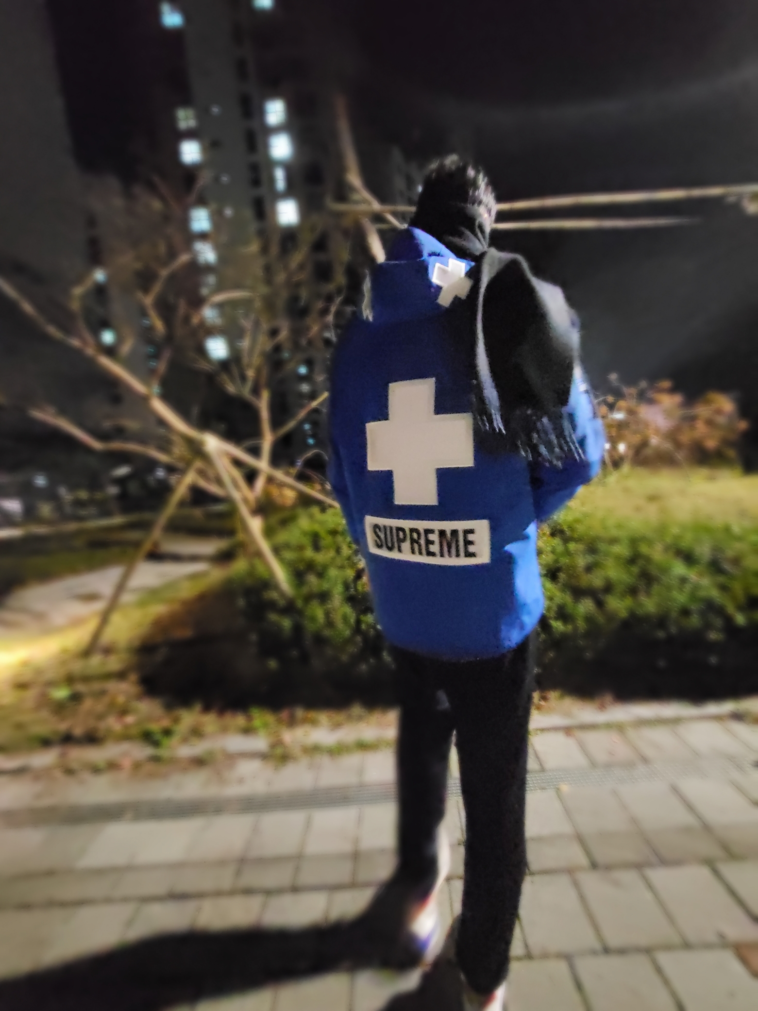 Supreme x The North Face Summit Series Rescue Mountain Pro Jacket Blue - 22SS, Nike x Sacai VaporWaffle Royal Fuchsia 착용 스타일 - 1