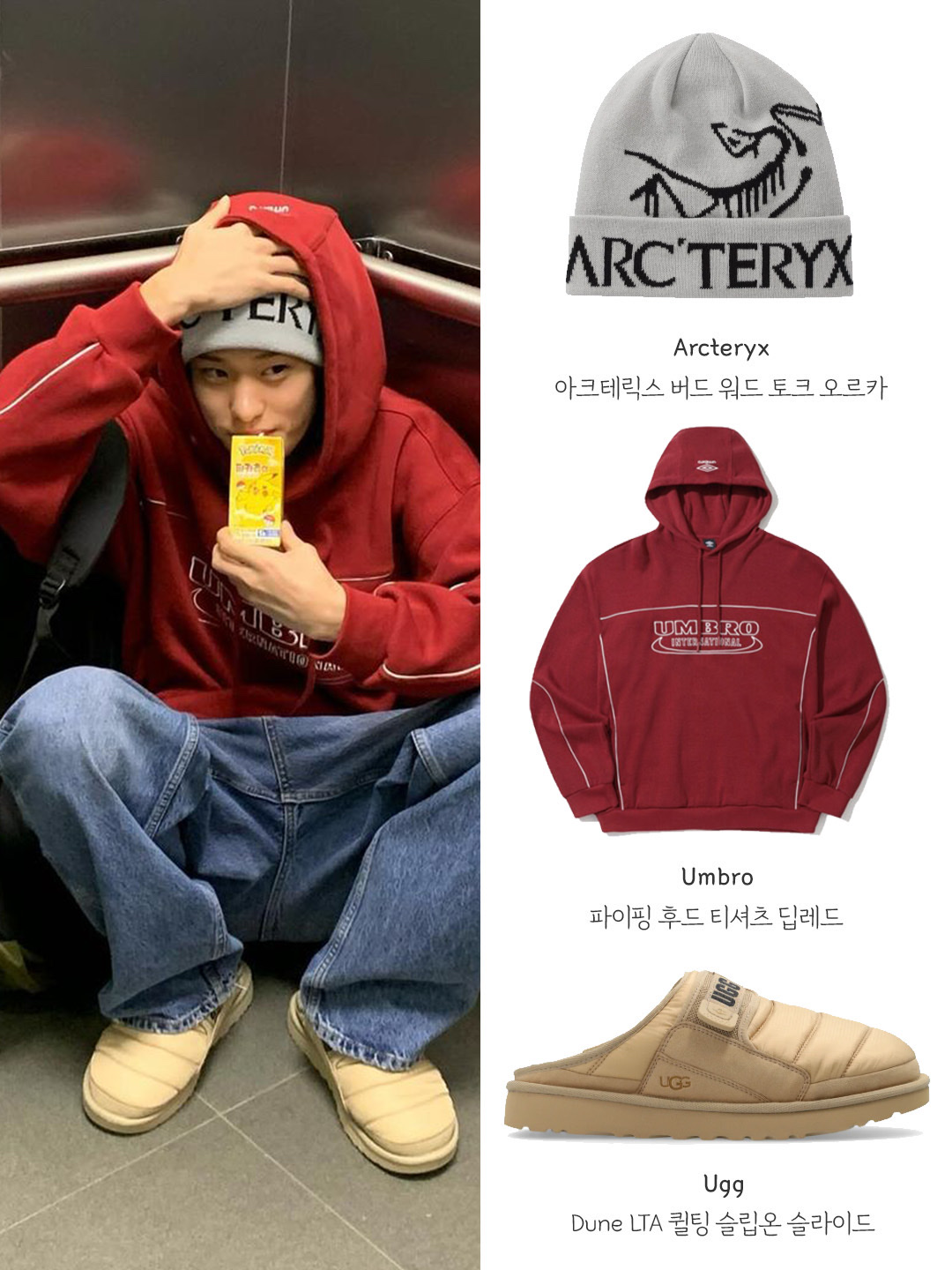 Arc'teryx Bird Word Toque Orca 착용 스타일