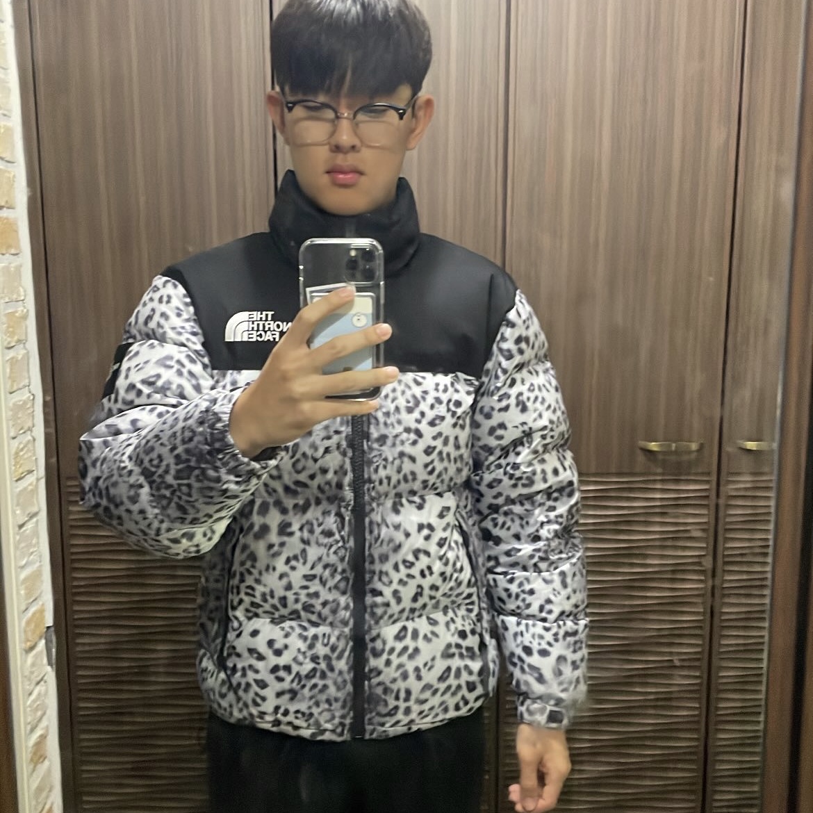 The North Face White Label Novelty Nuptse Down Jacket P Silver 착용 스타일