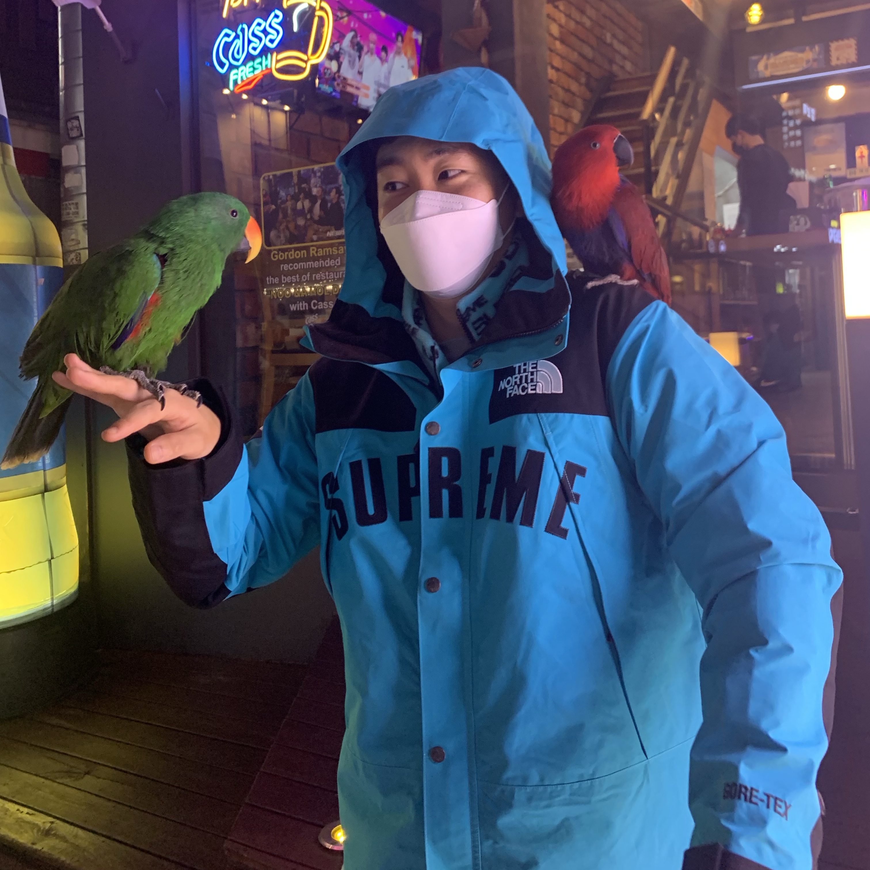 Supreme x The North Face Arc Logo Mountain Parka Teal - 19SS 착용 스타일