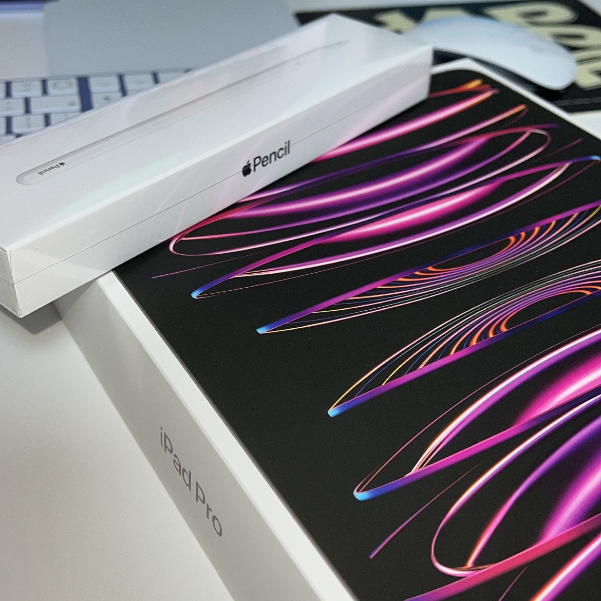 Apple iPad Pro 6th Gen 12.9-inch Wifi 128GB Space Gray (Korean Ver.) 착용 스타일