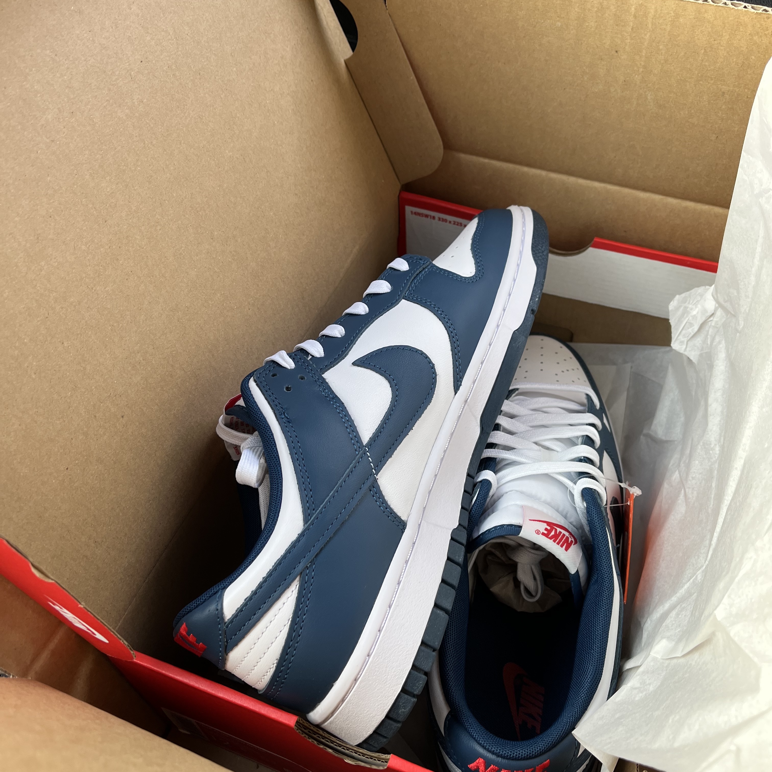 Nike Dunk Low Retro Valerian Blue 착용 스타일