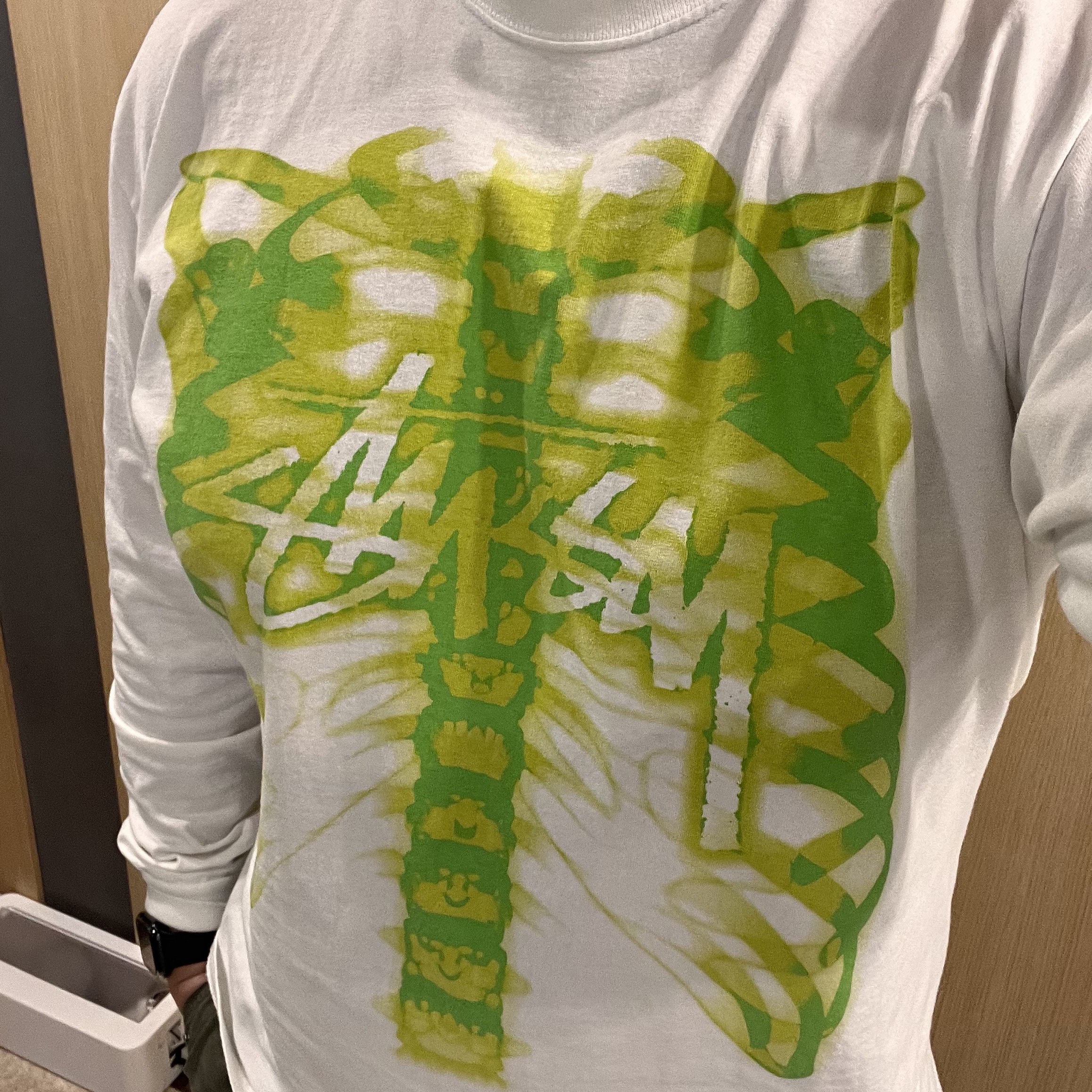 Stussy Rib Cage LS T-Shirt White 착용 스타일