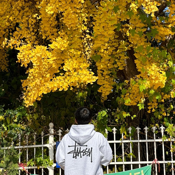 Stussy Basic Stussy Hoodie Ash Heather 2023 착용 스타일