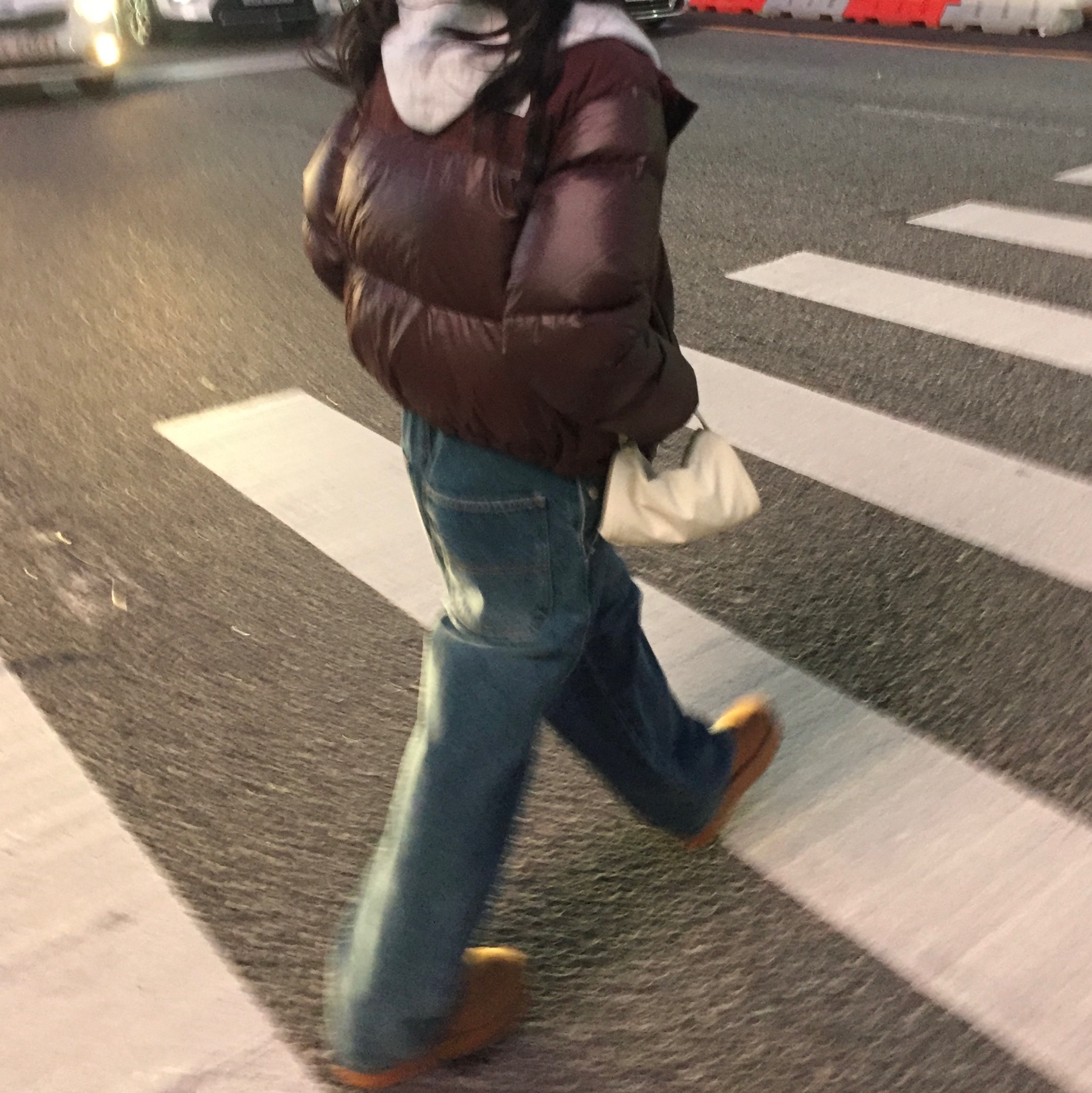 (W) The North Face White Label Novelty Nuptse Down Jacket Cocoa Brown 착용 스타일 - 1