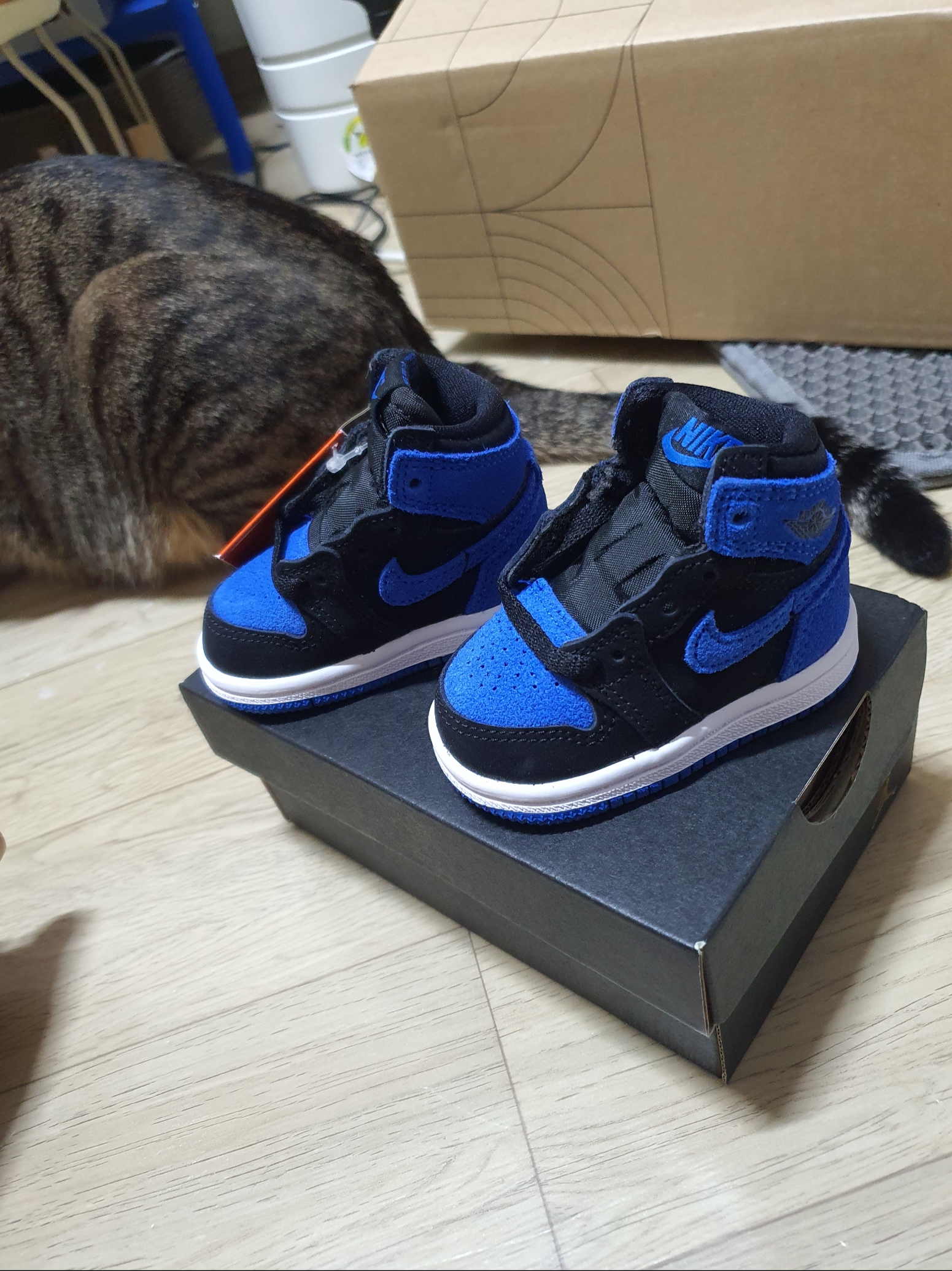 (TD) Jordan 1 Retro High OG Royal Reimagined 착용 스타일 - 2