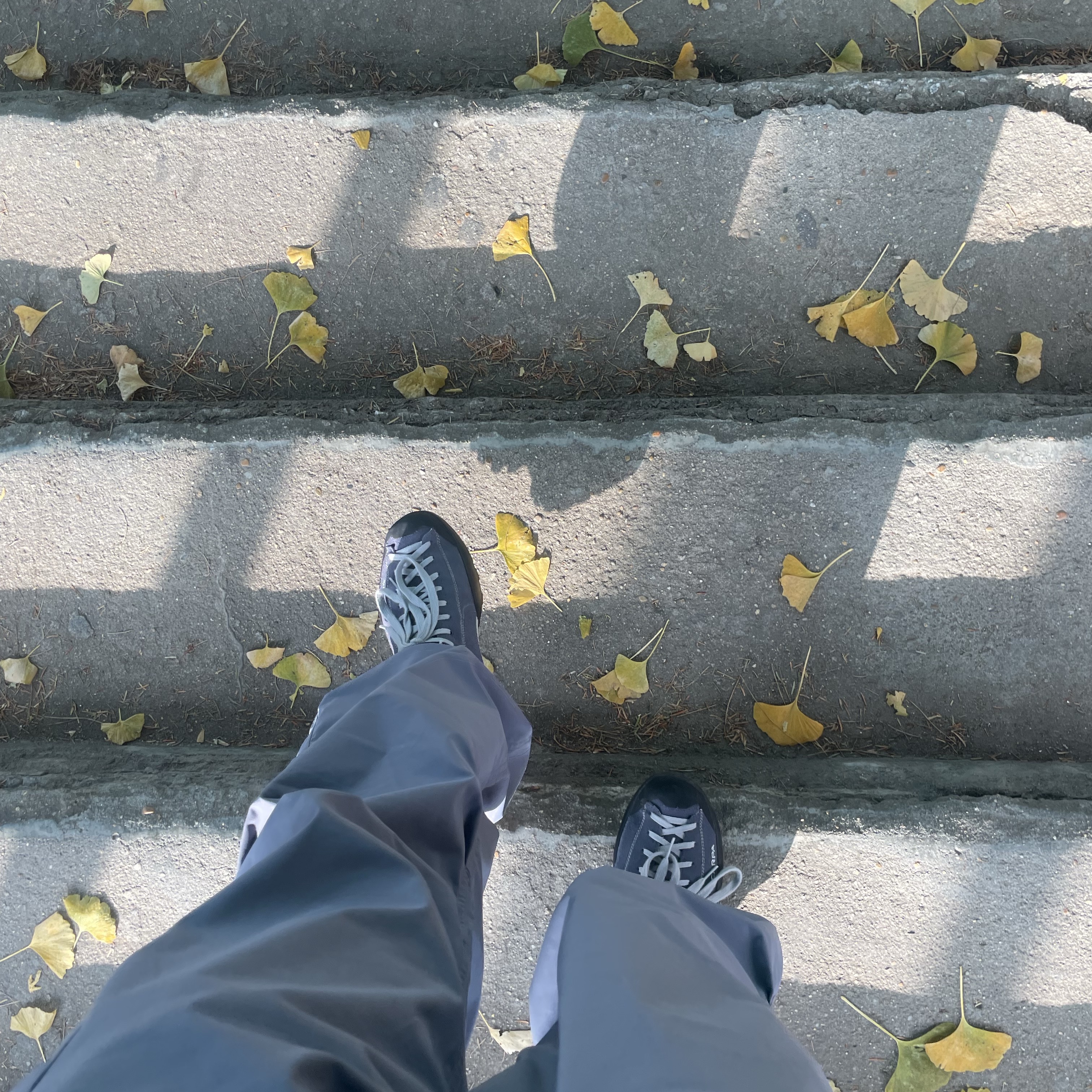 Sansan Gear Covering Pocket Pants Charcoal - 23FW 착용 스타일