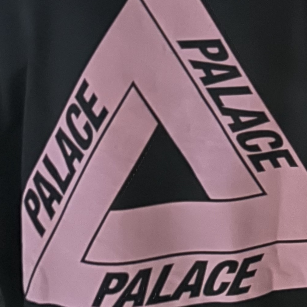 Palace Tri-Puff Print Zip Hood Black - 23SS 착용 스타일
