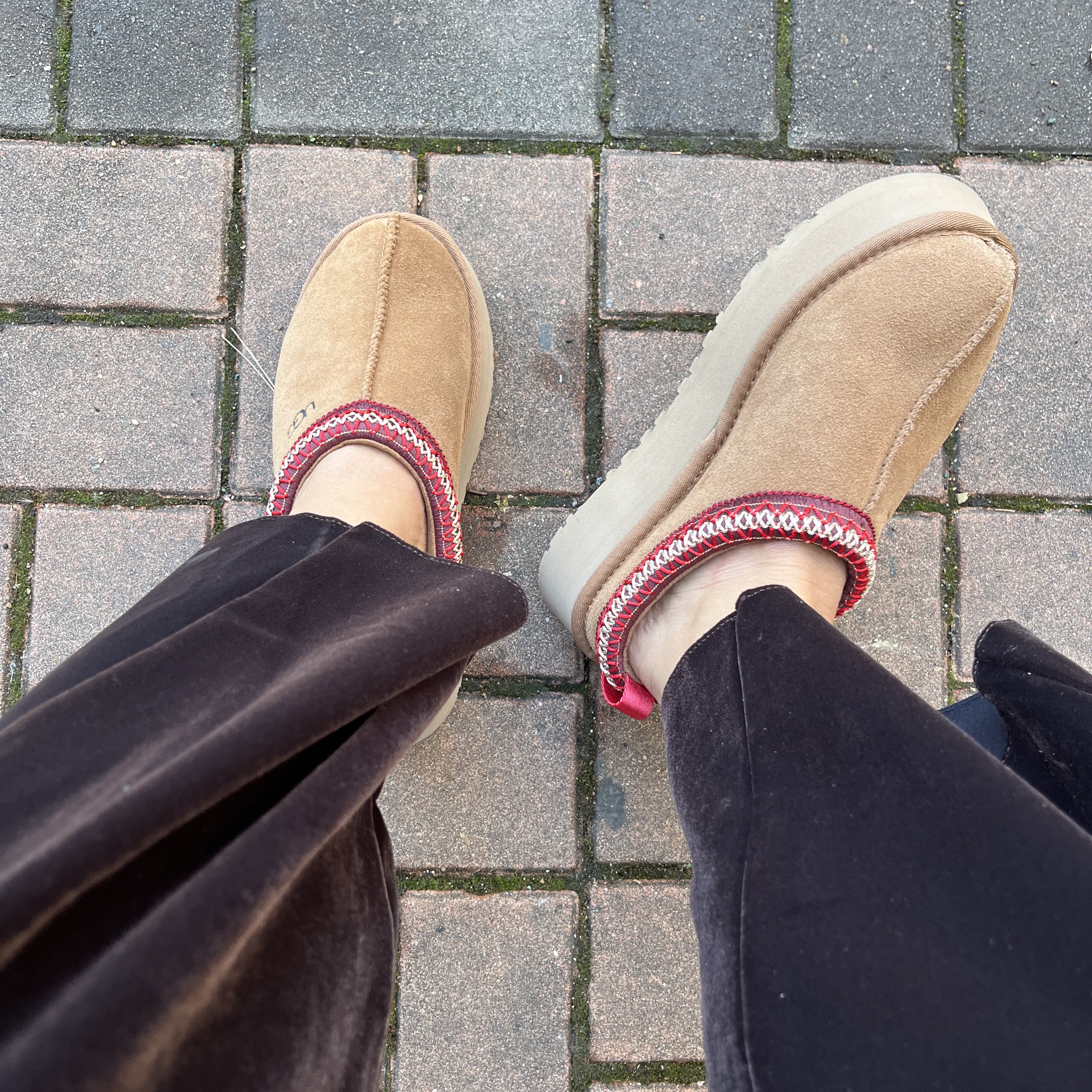 (W) UGG Tazz Slipper Chestnut 착용 스타일 - 2