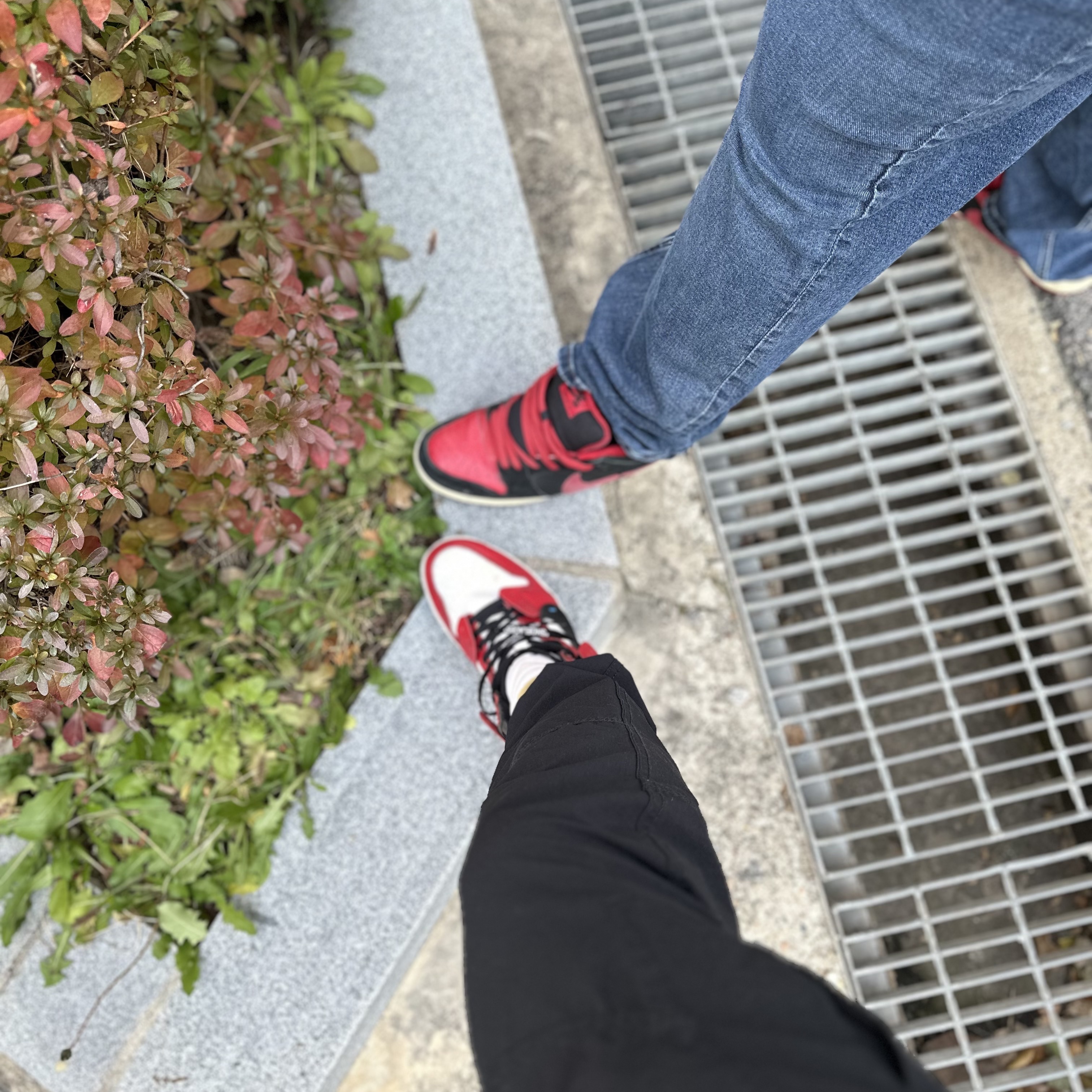 Jordan 1 x Off-White Retro High Chicago The Ten, Nike SB Dunk Low Pro Bred 착용 스타일