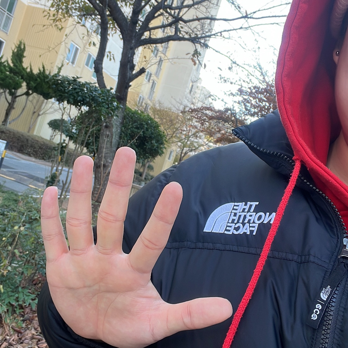 The North Face 1996 Retro Nuptse Jacket Black 착용 스타일