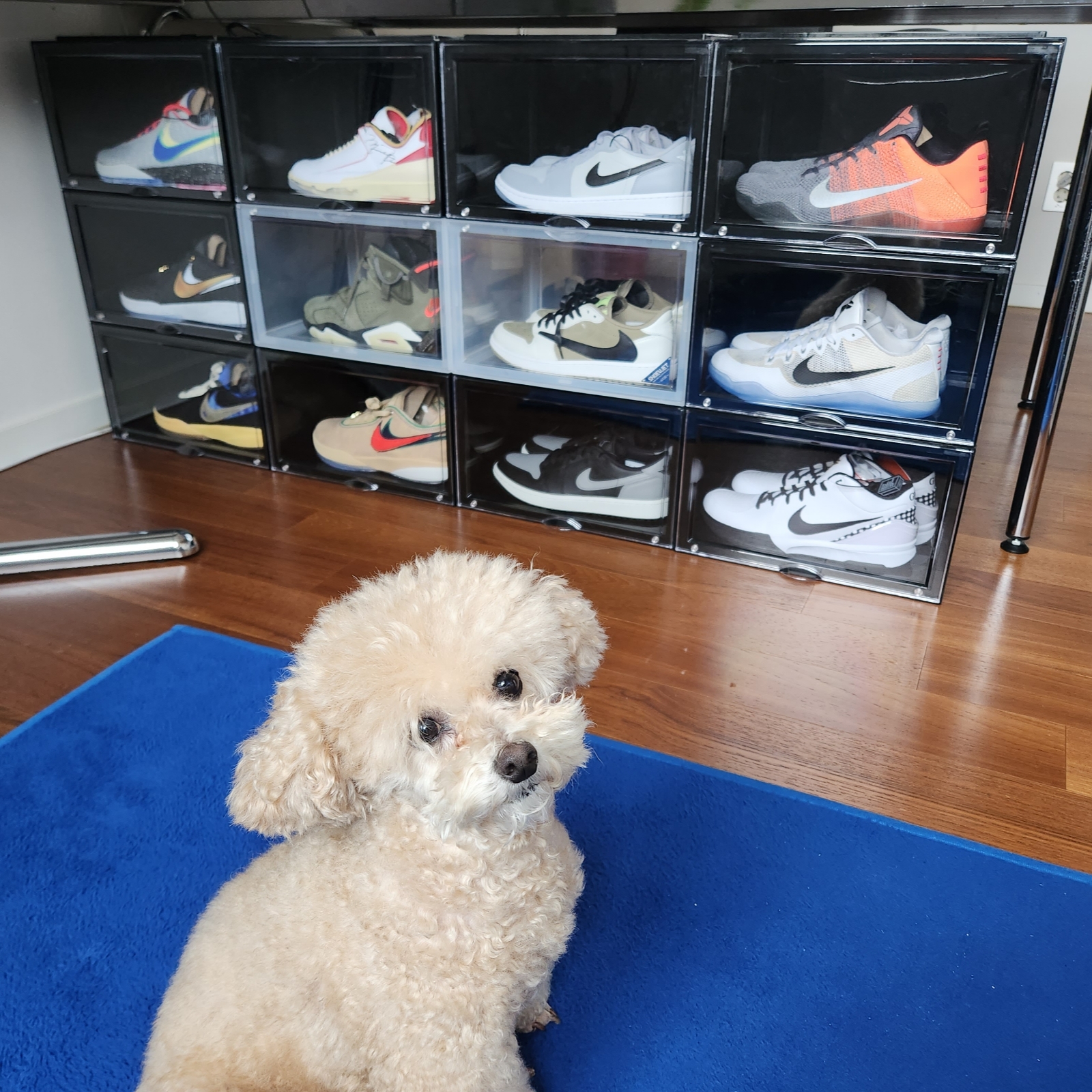 Nike Kobe 4 Protro Mambacita Gigi, Jordan 1 Low Golf Wolf Grey 착용 스타일
