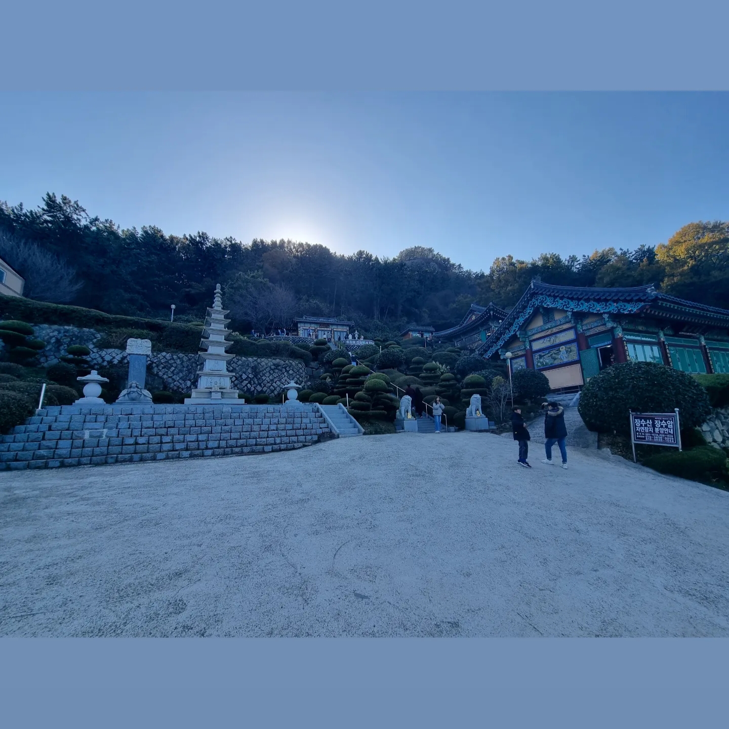 AMI de Coeur Oxford Button Down Shirt Sky Blue, AMI de Coeur Wool Cardigan Black 착용 스타일 - 2