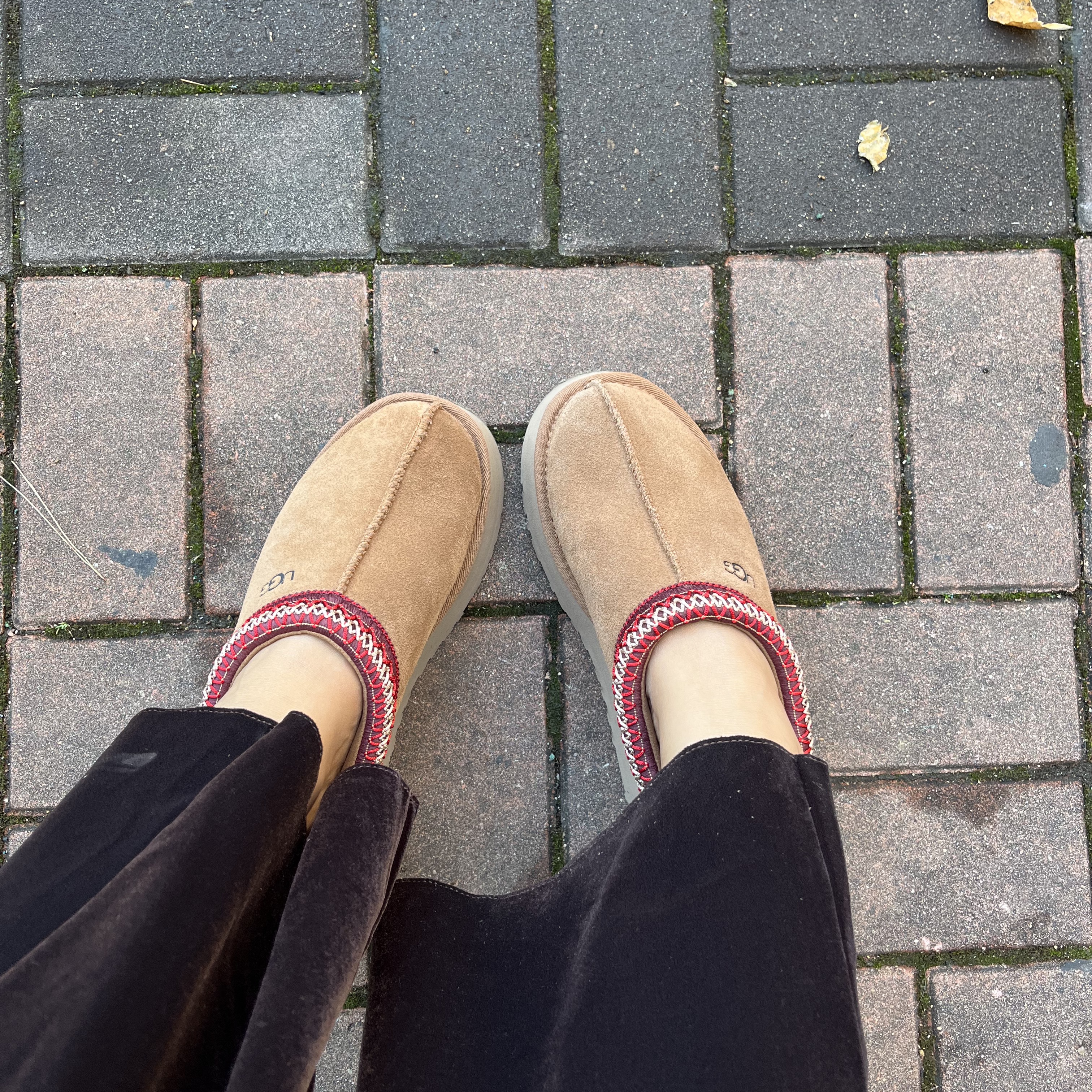 (W) UGG Tazz Slipper Chestnut 착용 스타일 - 1