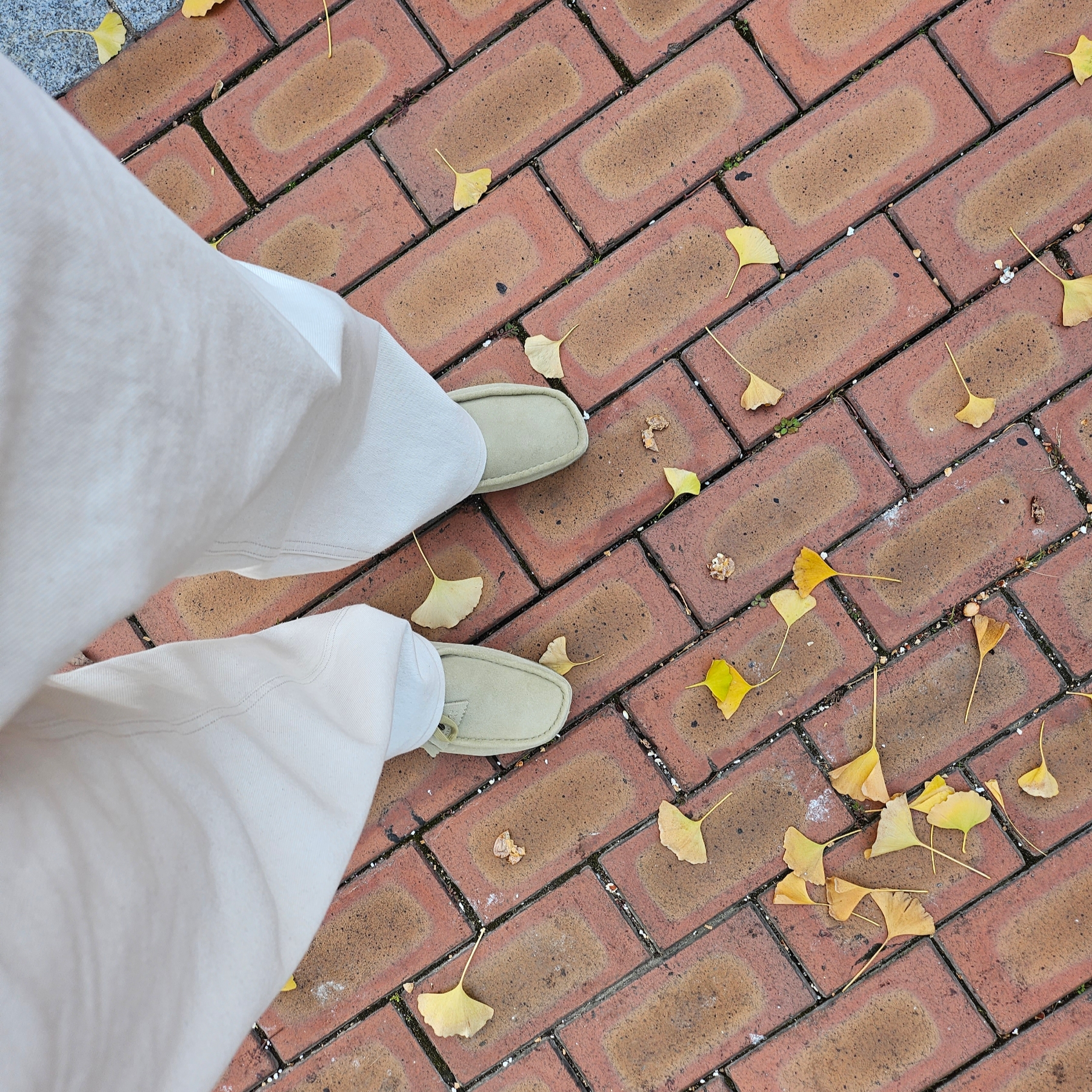 Clarks Wallabee Maple Suede 착용 스타일