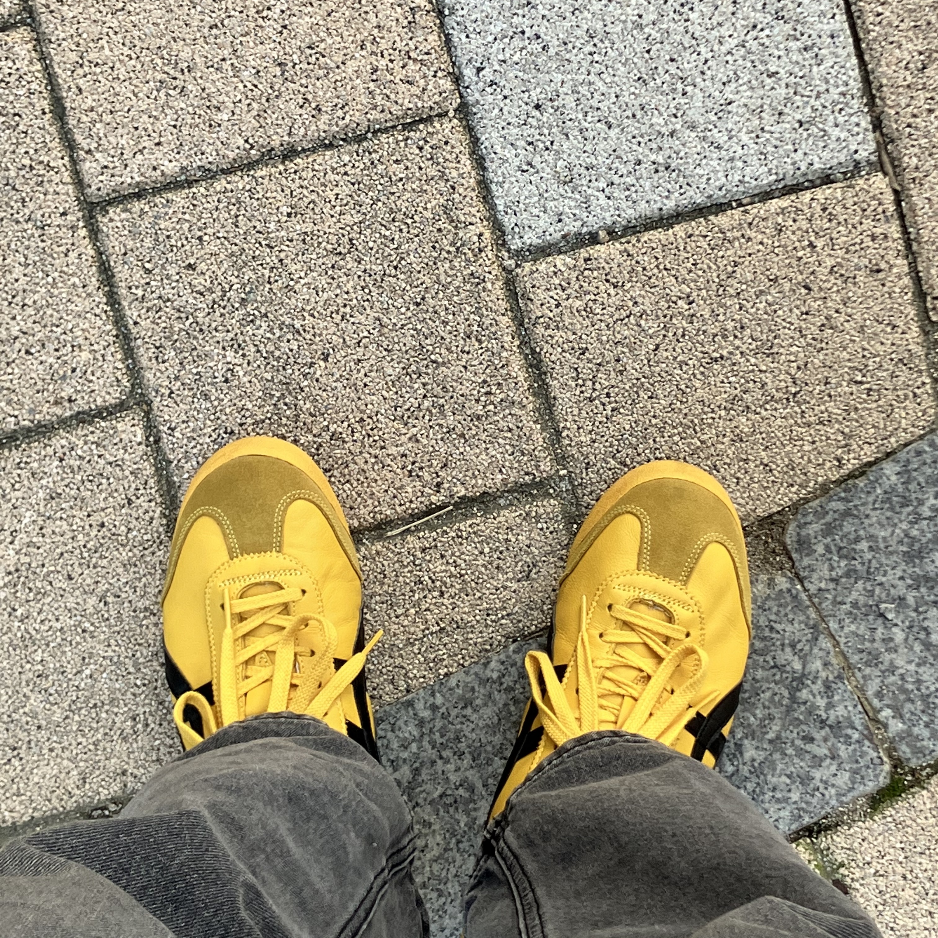 Adidas Gazelle Earth Strata Brown Gum, Onitsuka Tiger Mexico 66 Yellow Black 착용 스타일 - 2