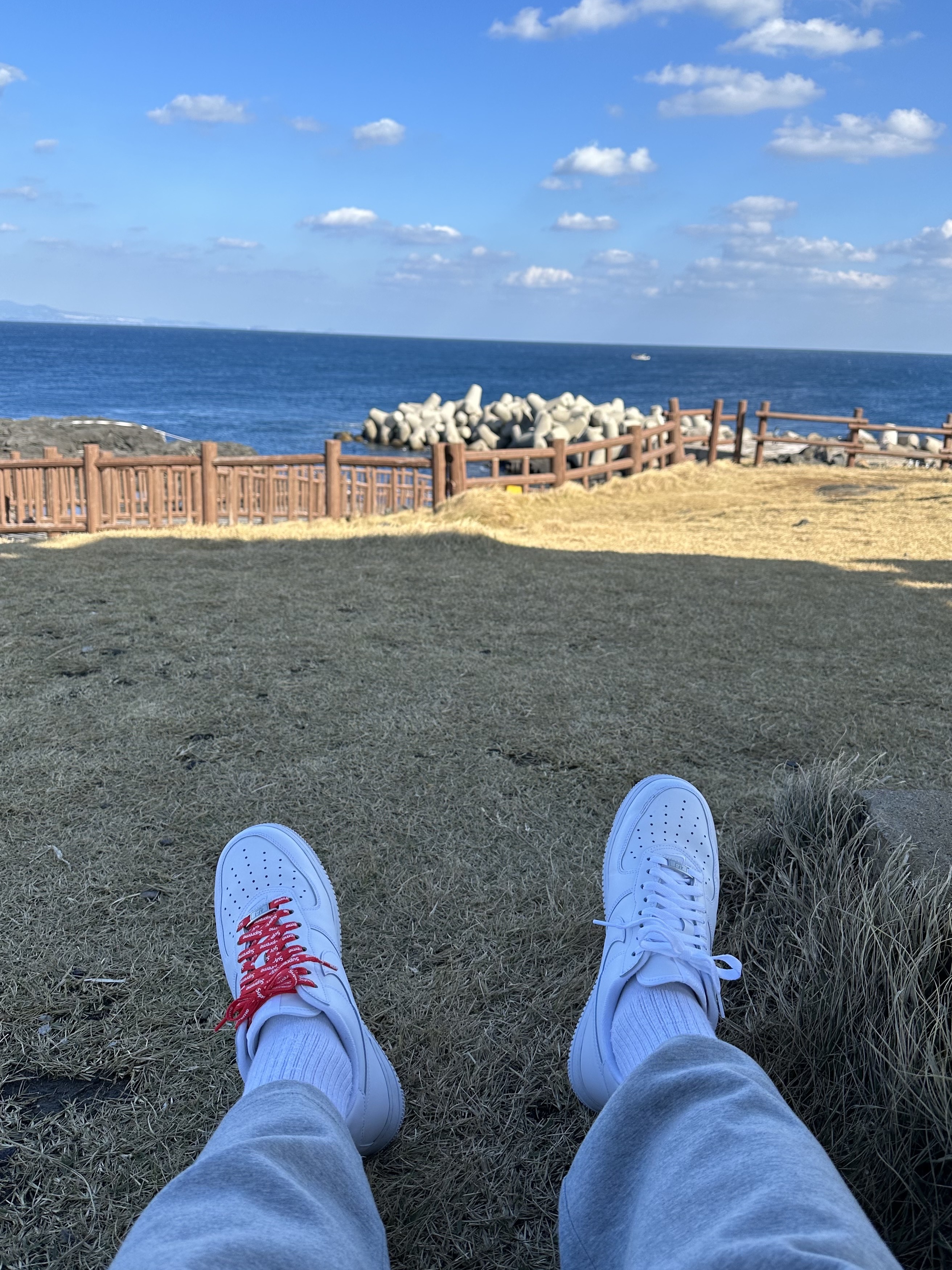 Nike x Supreme Air Force 1 Low White 착용 스타일