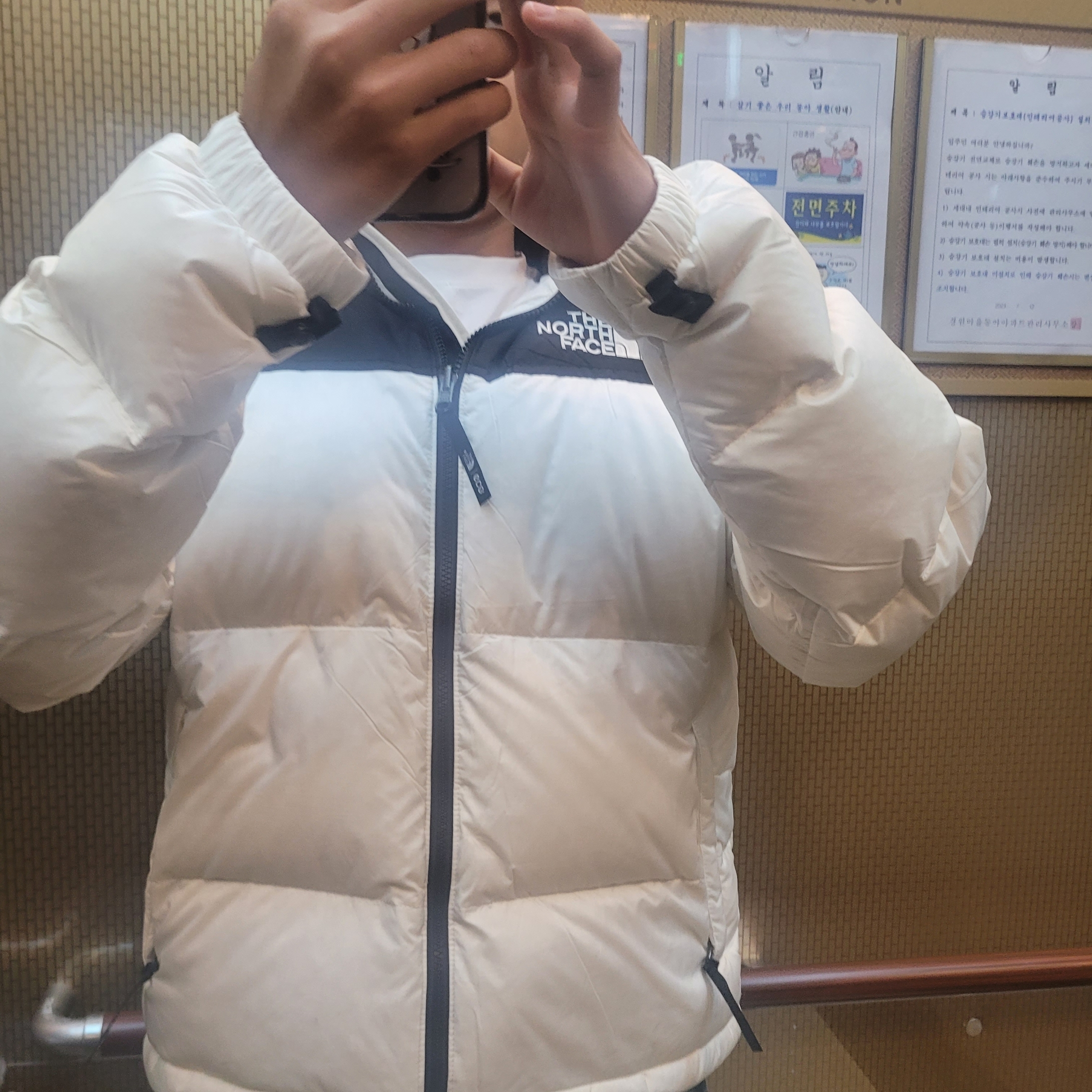The North Face 1996 Eco Nuptse Jacket White 착용 스타일
