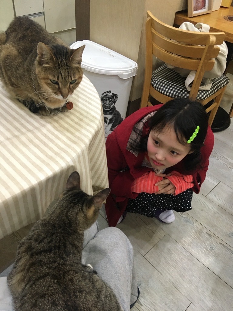 Sou Sou Canvas Soft Gamaguchi Bag Large Black (with 110cm Black Leather Strap) 착용 스타일 - 3