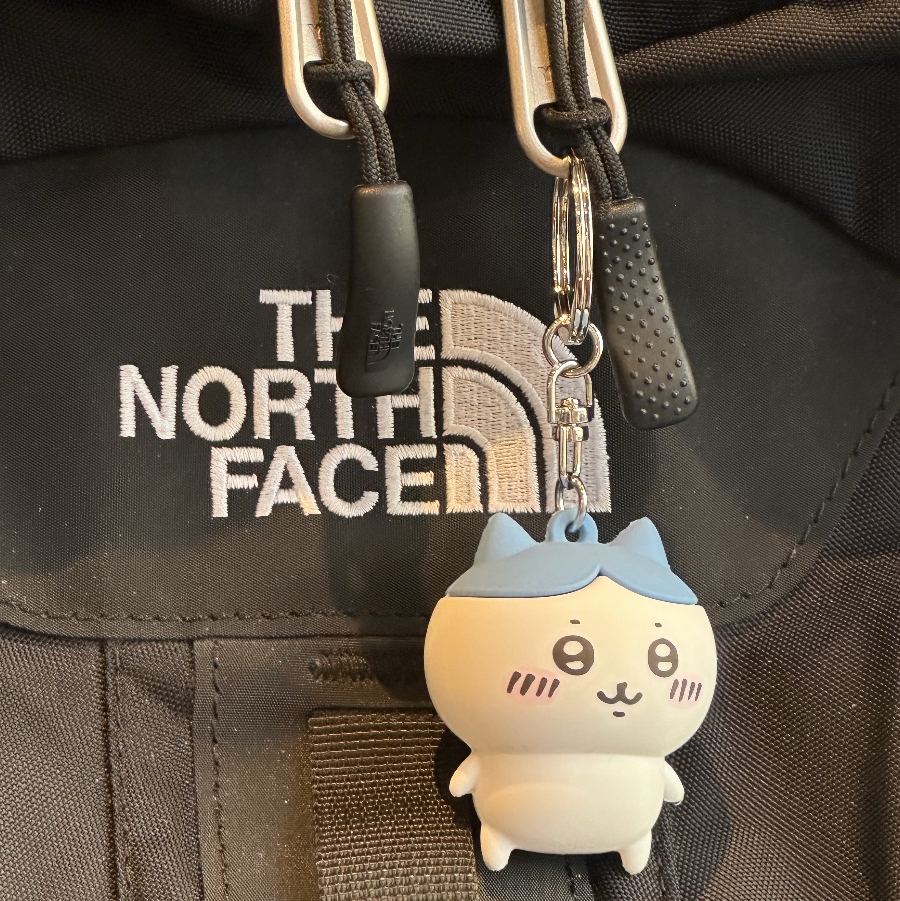 The North Face Big Shot Black 착용 스타일