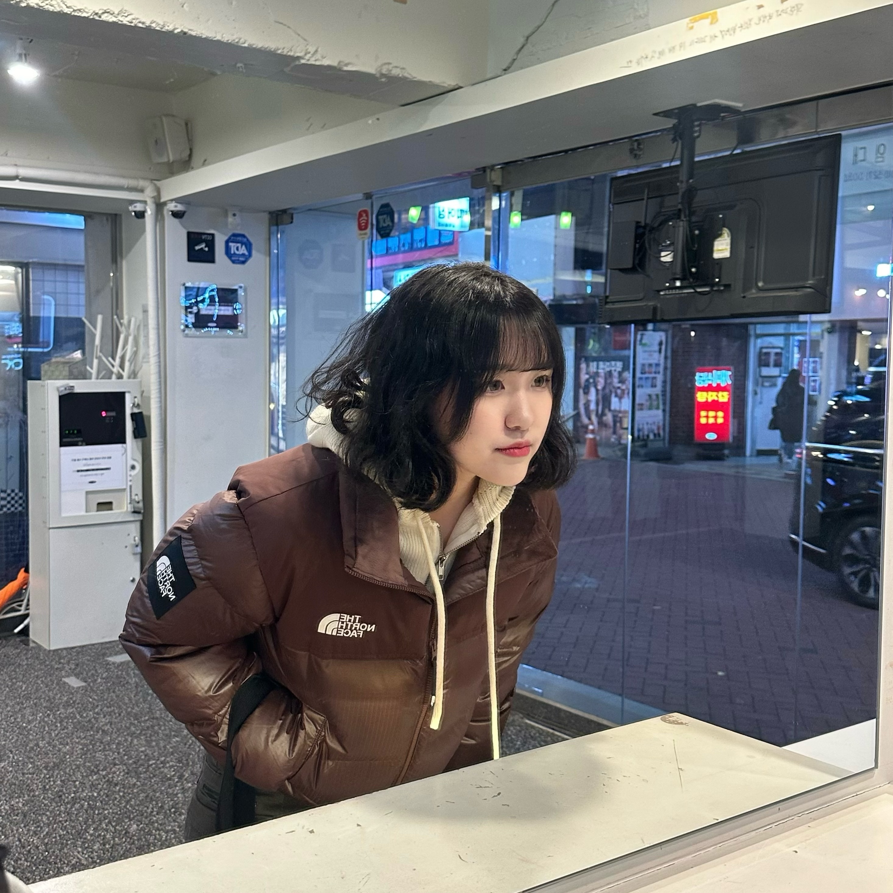 (W) The North Face White Label Novelty Nuptse Down Jacket Cocoa Brown 착용 스타일