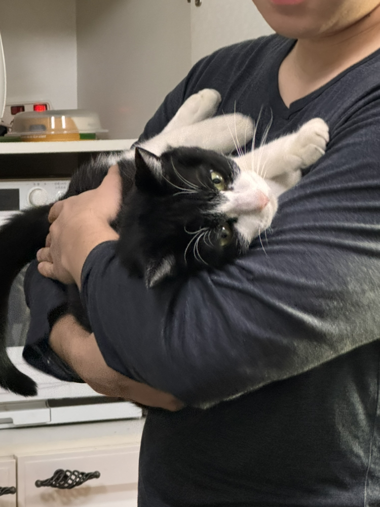 관심 유저 프로필 이미지