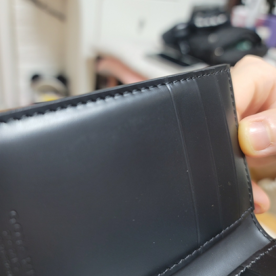 Goyard Saint Pierre Card Holder Black 착용 스타일