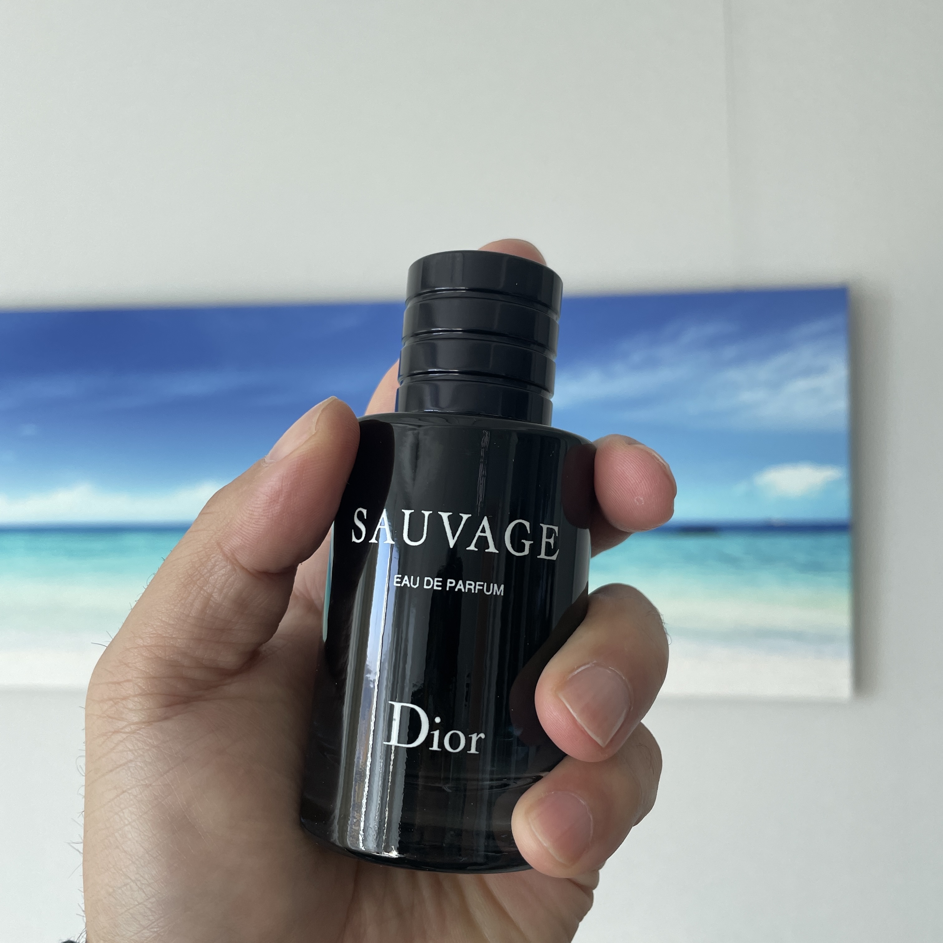 Dior Sauvage Parfum 60ml 착용 스타일 - 2