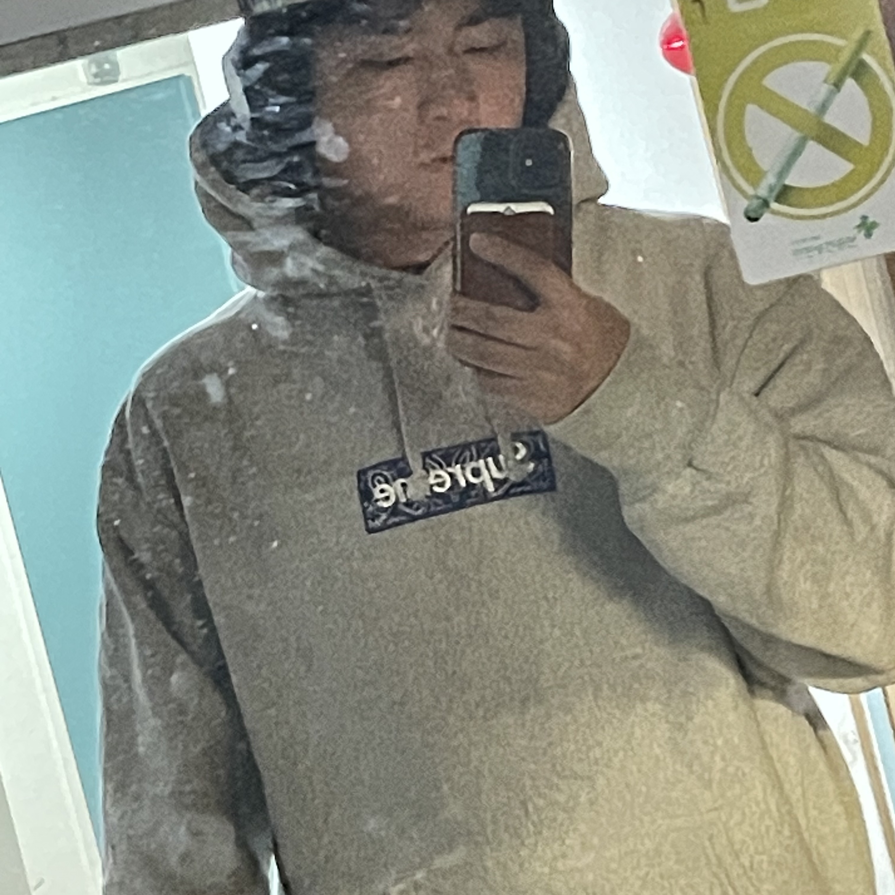 Supreme Bandana Box Logo Hooded Sweatshirt Heather Grey - 19FW 착용 스타일 - 1