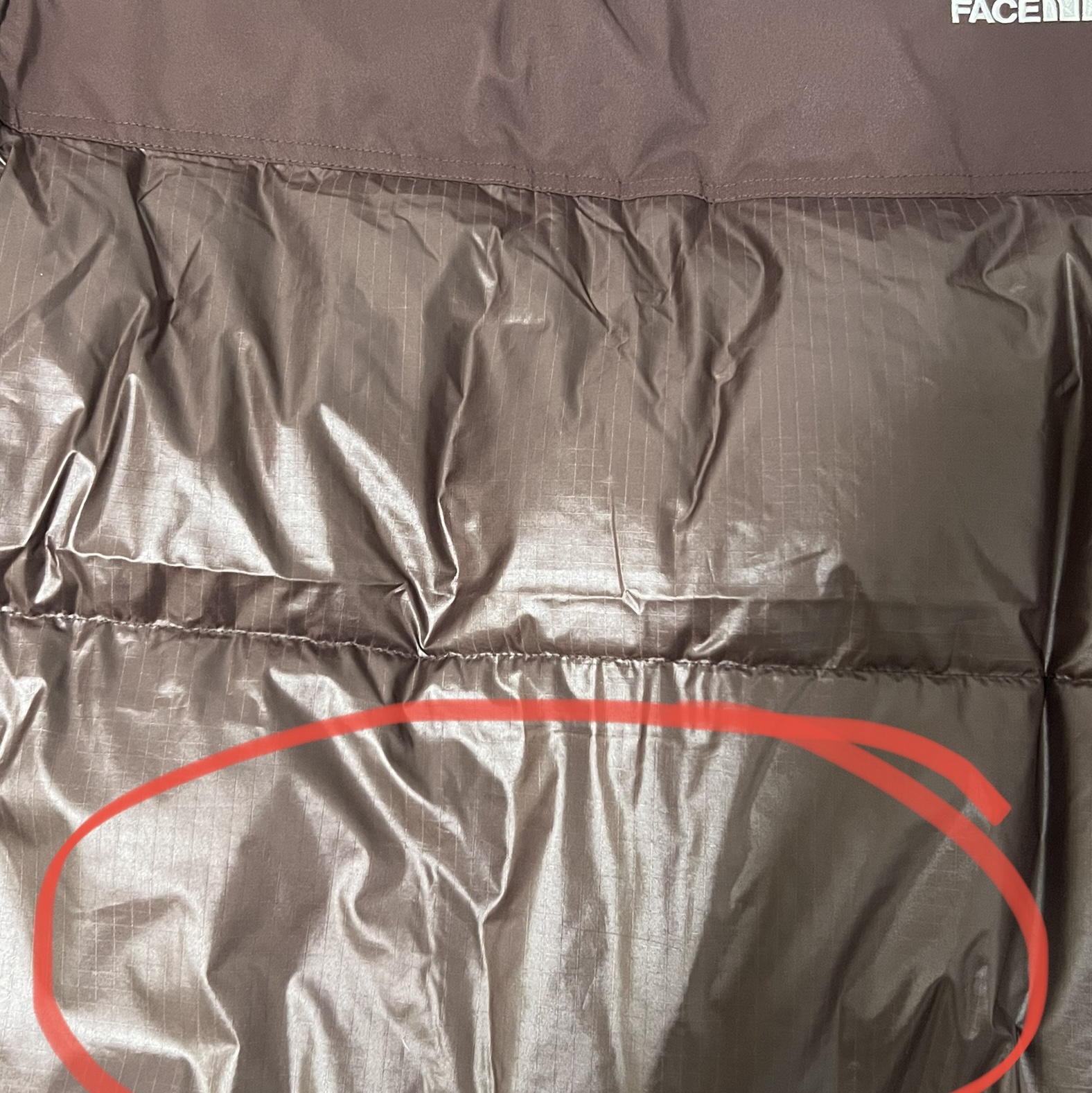 (W) The North Face White Label Novelty Nuptse Down Jacket Cocoa Brown 착용 스타일