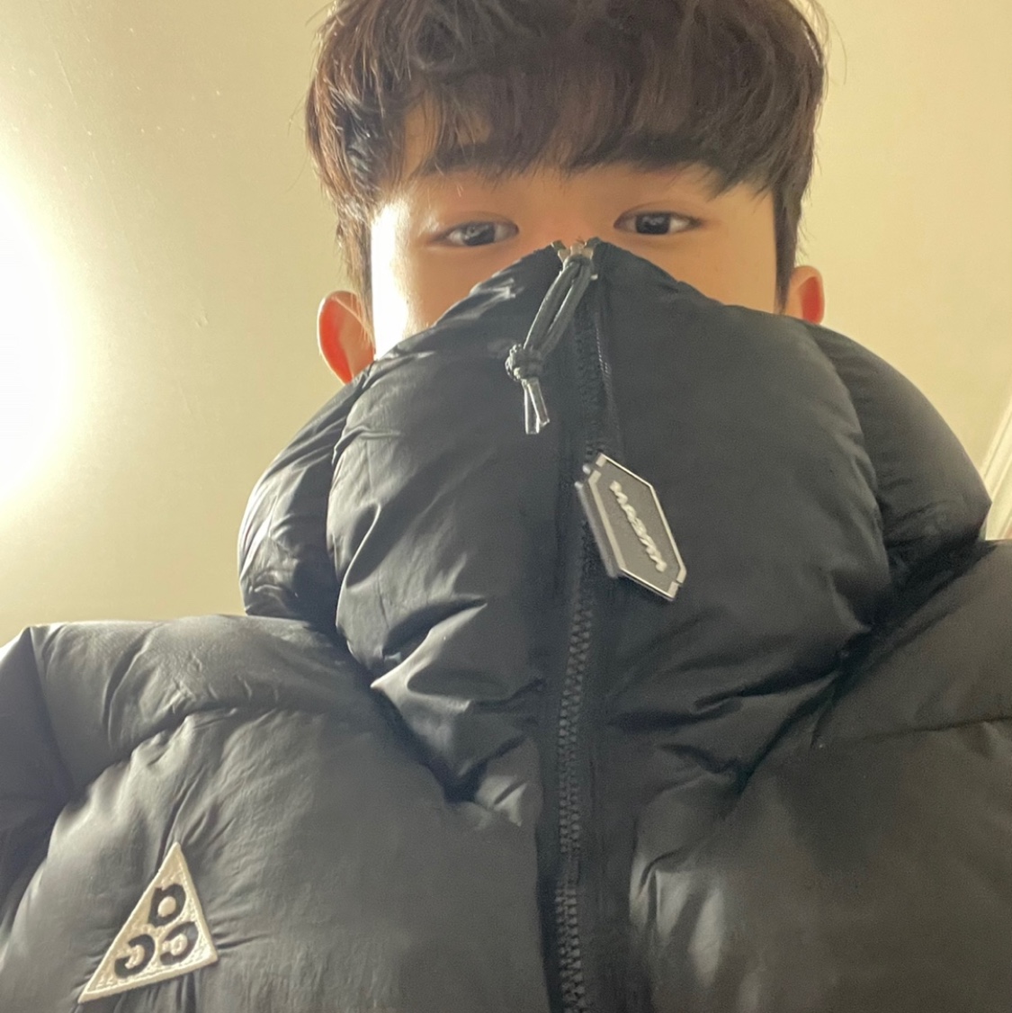 Nike ACG Therma-Fit ADV Lunar Lake Puffer Jacket Black - Asia 착용 스타일